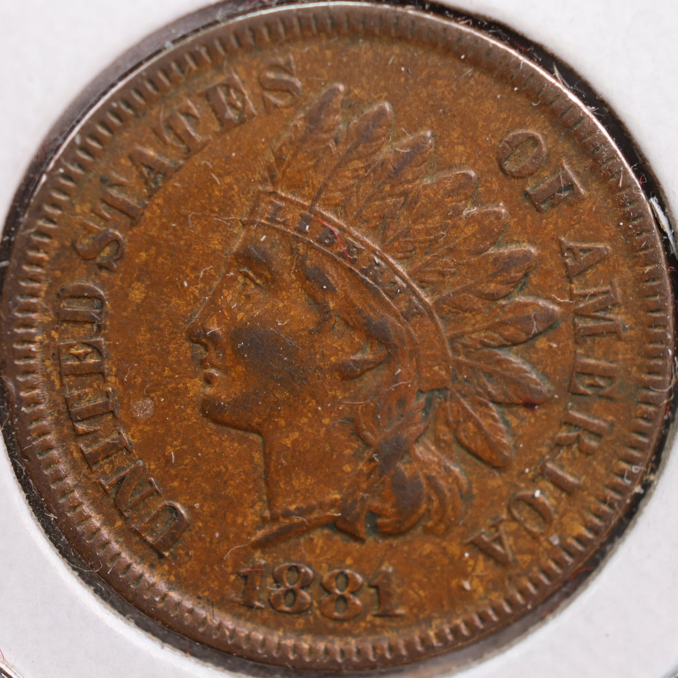 1881 Indian Head Cent, Very Fine+ Circulated Coin, Store #CT0812