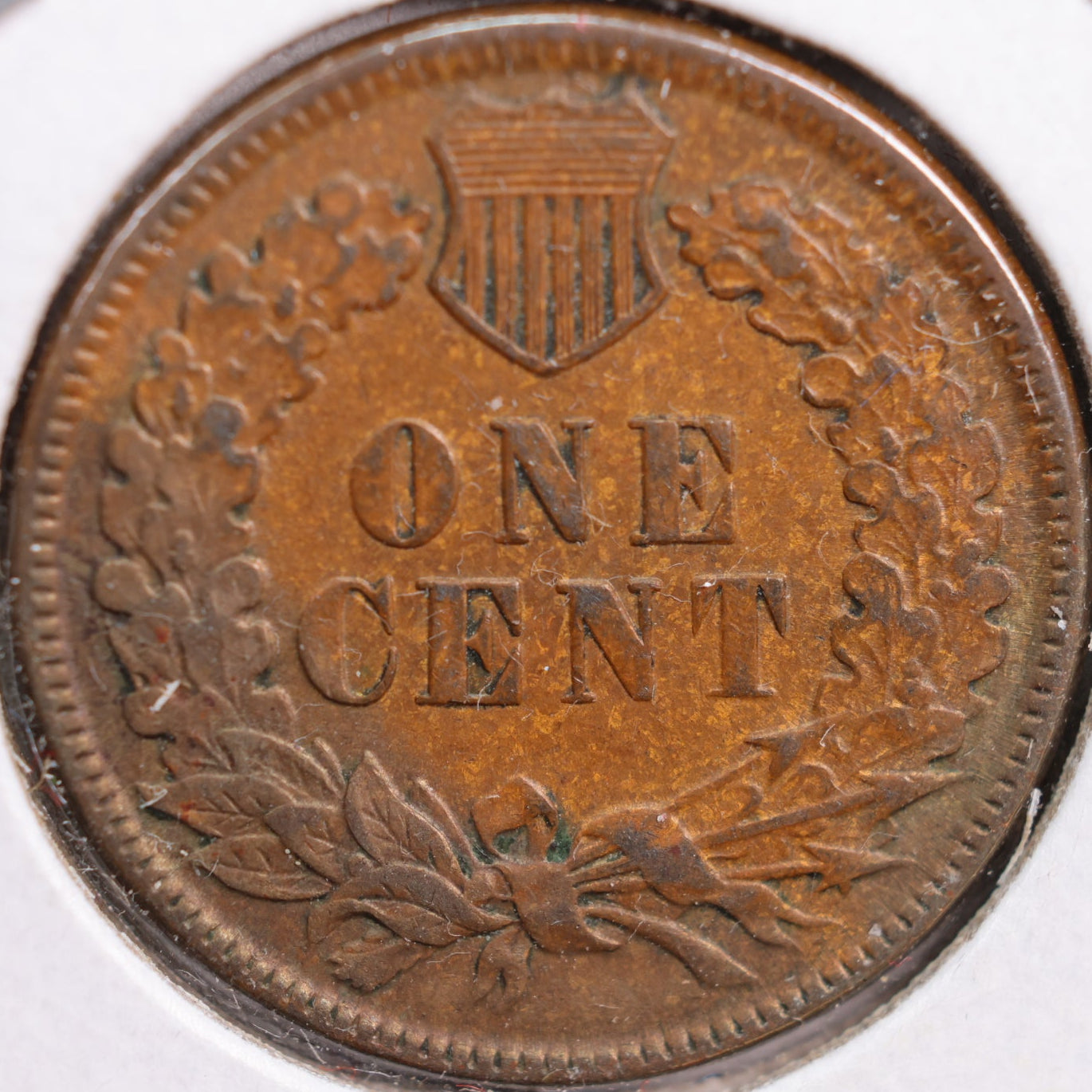 1881 Indian Head Cent, Very Fine+ Circulated Coin, Store #CT0812