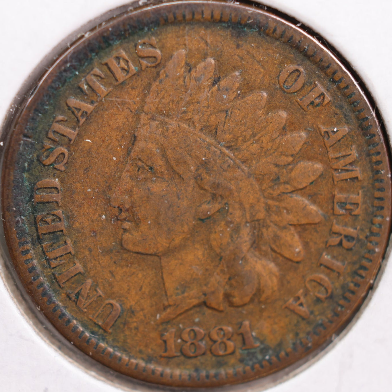 1881 Indian Head Cent, Fine Circulated Coin, Store #CT0816
