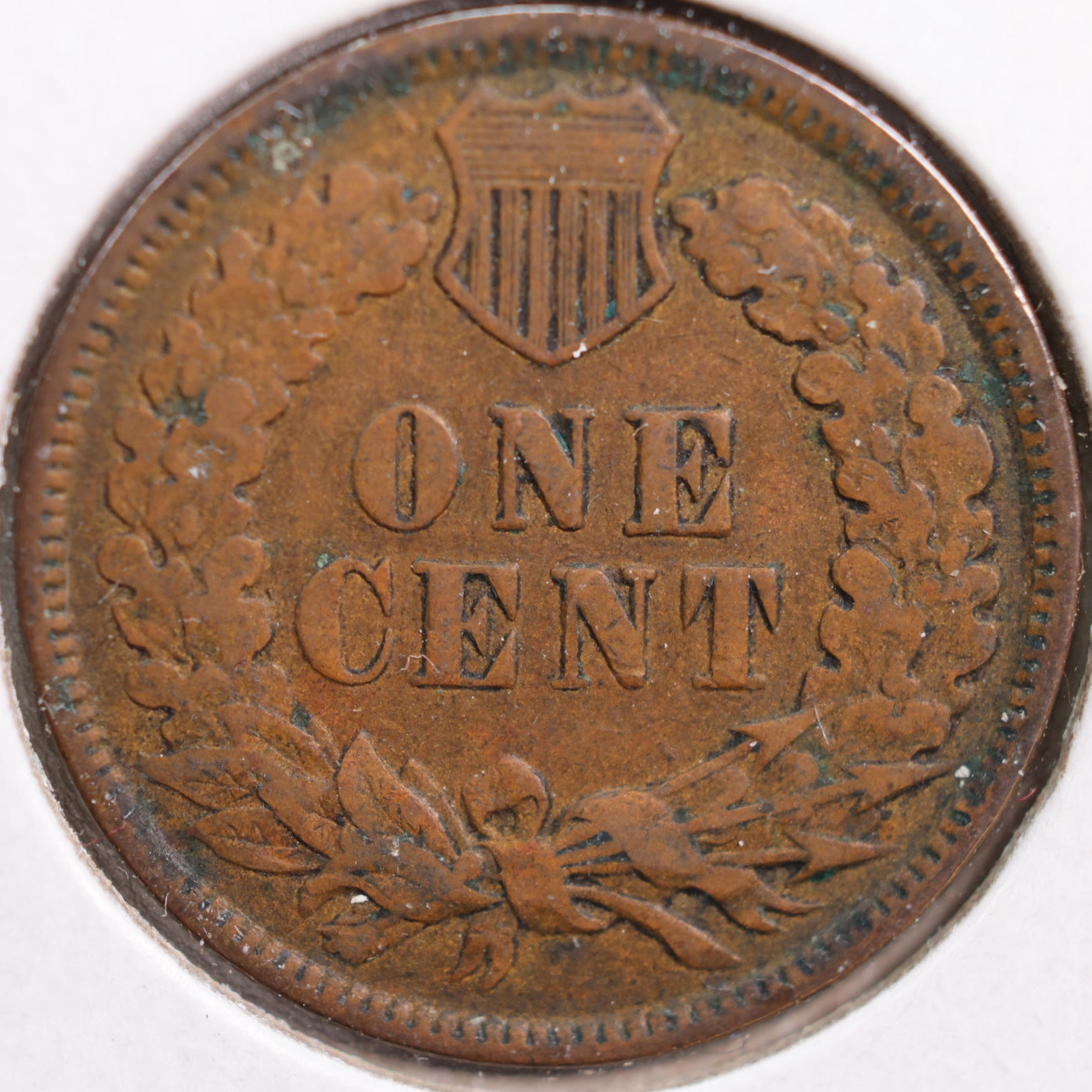 1881 Indian Head Cent, Fine Circulated Coin, Store #CT0816