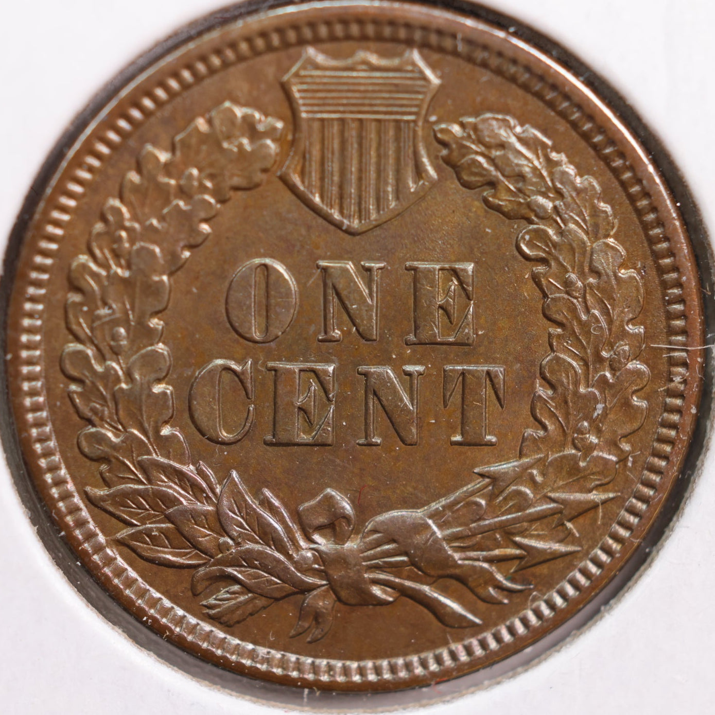 1891 Indian Head Cent, Mint State BN Uncirculated Coin, Store #CT0832