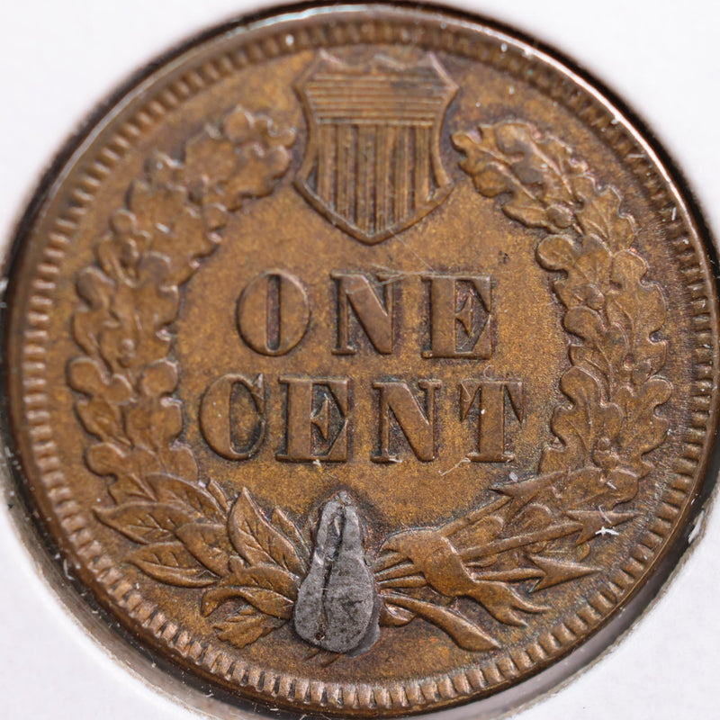 1891 Indian Head Cent, Extra Fine+ Circulated Coin, details, Store