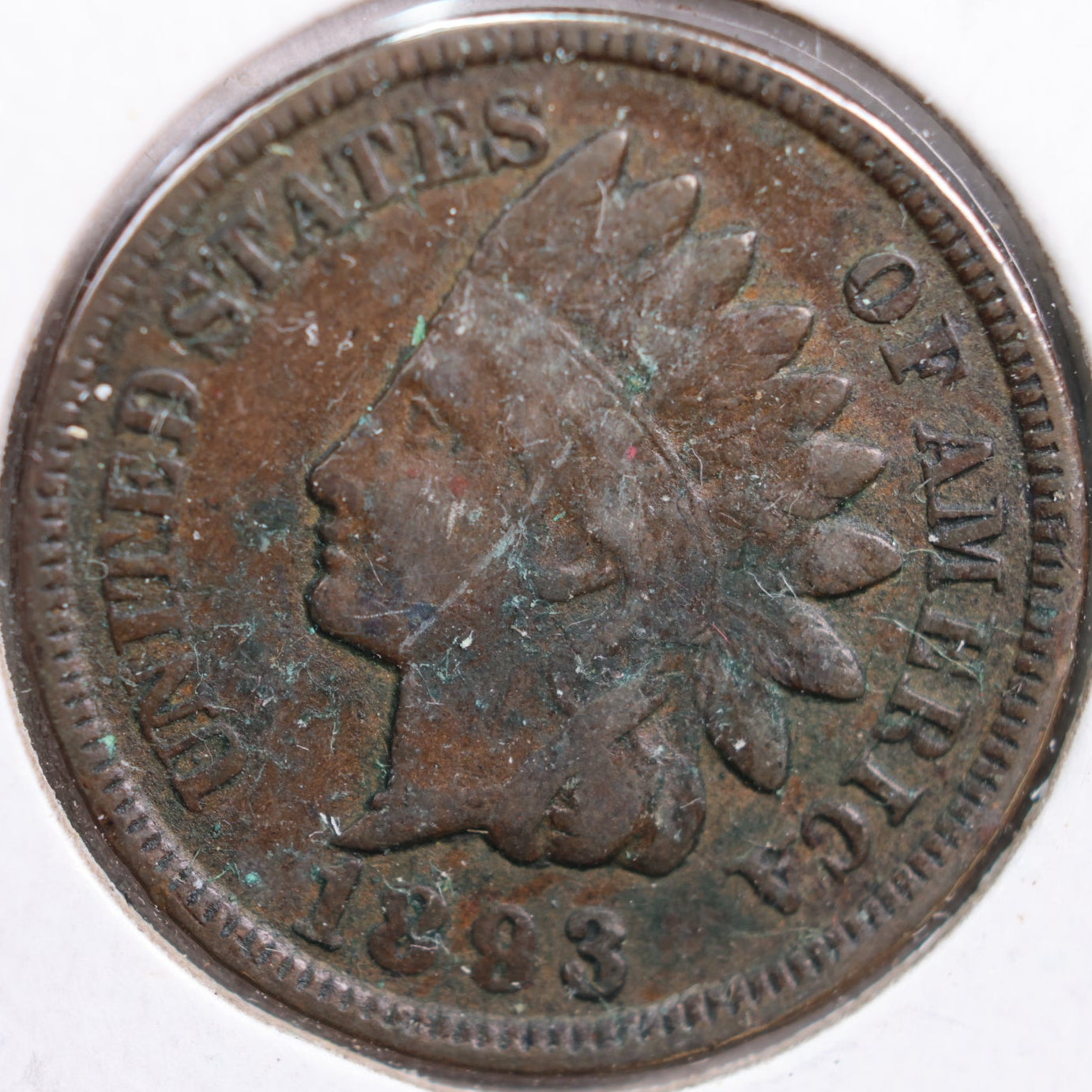 1893 Indian Head Cent, Very Fine Circulated Coin, Store #CT0840
