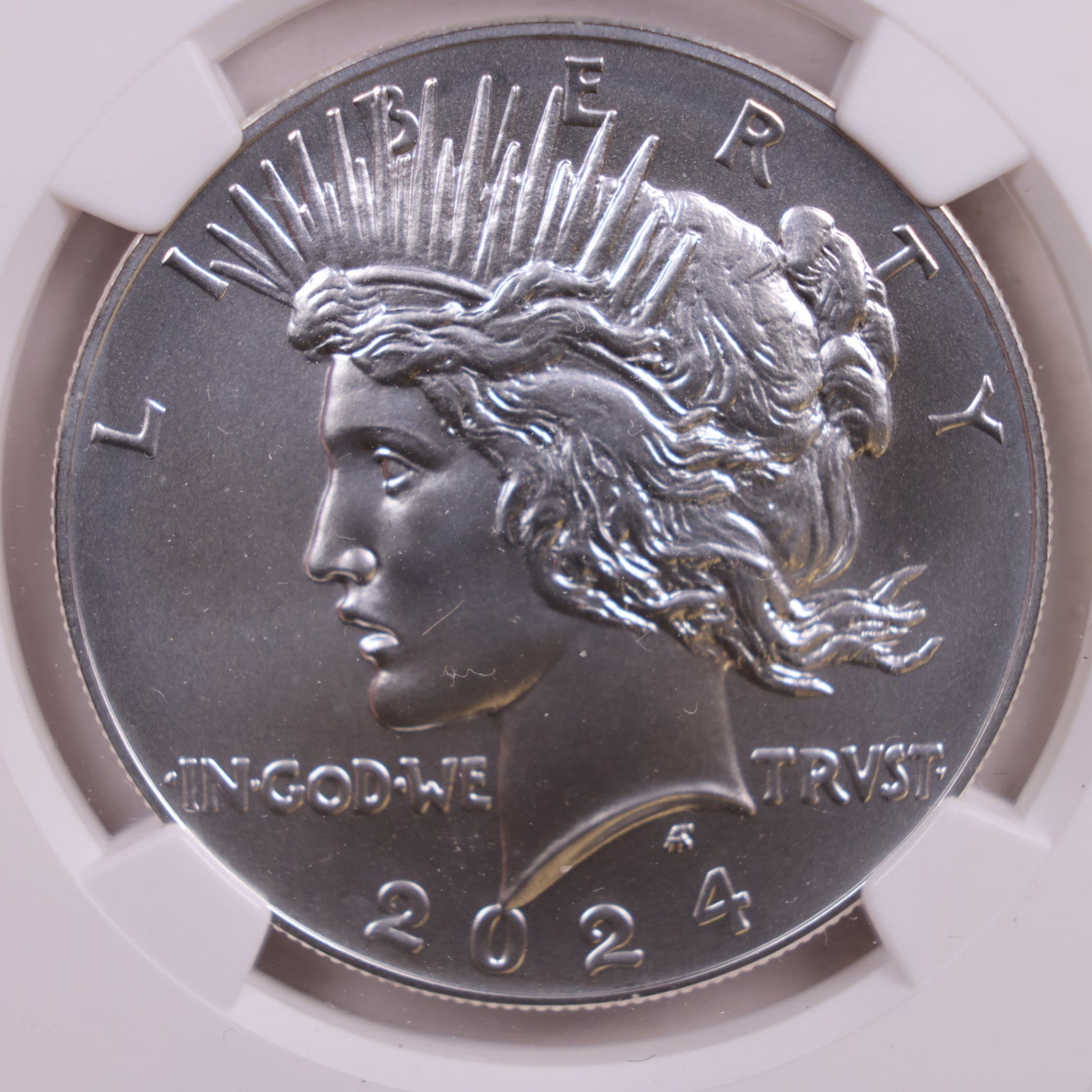 2024 Peace Dollar Commemorative, NGC MS-70, Store #GMC195