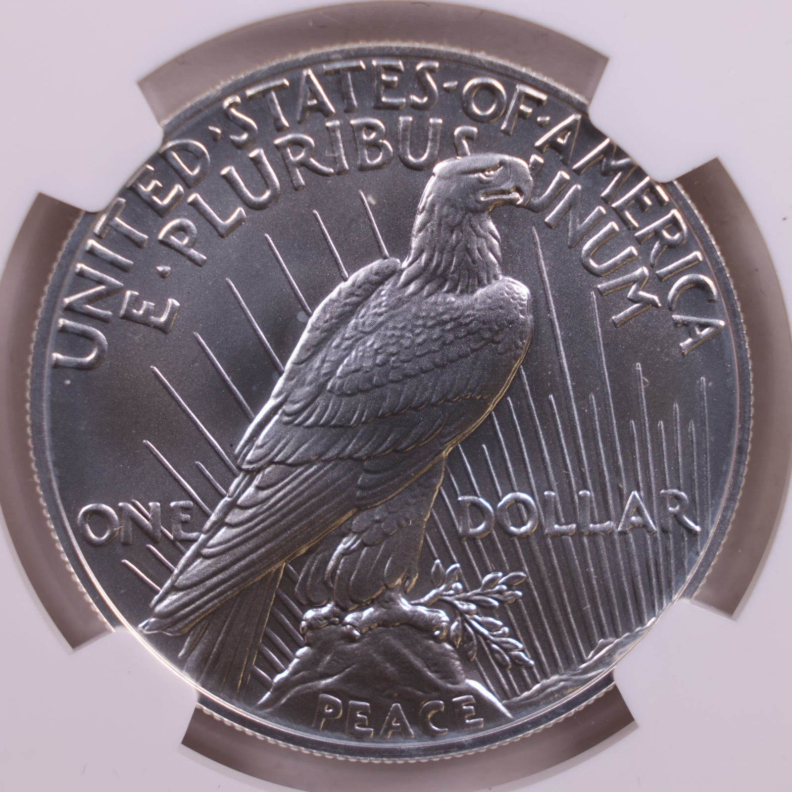 2024 Peace Dollar Commemorative, NGC MS-70, Store #GMC195