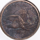 1858 Flying Eagle Cent, Very Fine Circulated Coin, details, Store