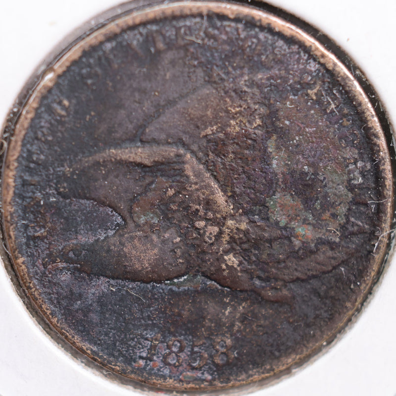 1858 Flying Eagle Cent, Very Fine Circulated Coin, details, Store