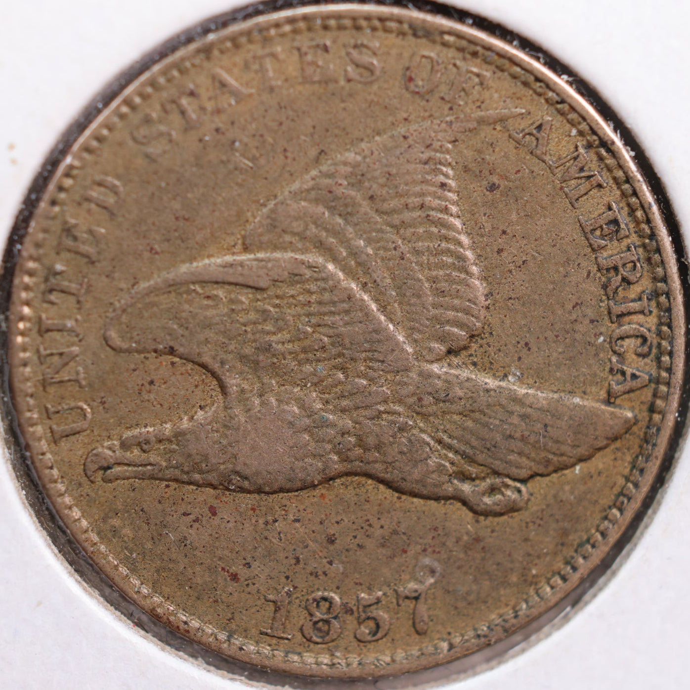 1857 Flying Eagle Cent, Extra Fine Circulated Coin, Store #CT0867