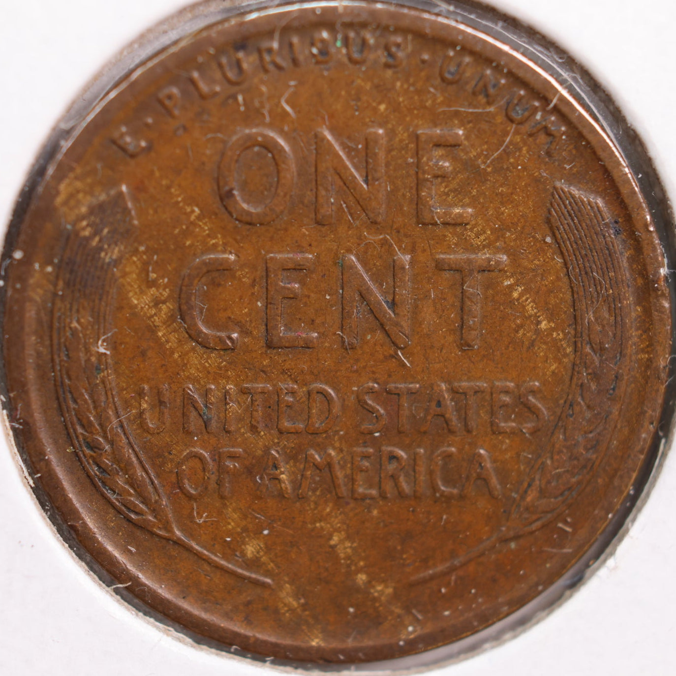 1920 Lincoln Cent, Extra Fine Circulated Coin, Store #CT0871