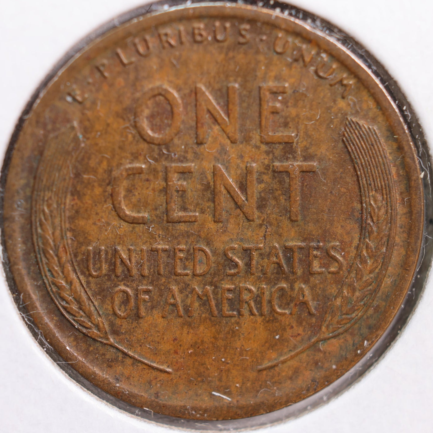 1920 Lincoln Cent, Extra Fine+ Circulated Coin, Store #CT0872