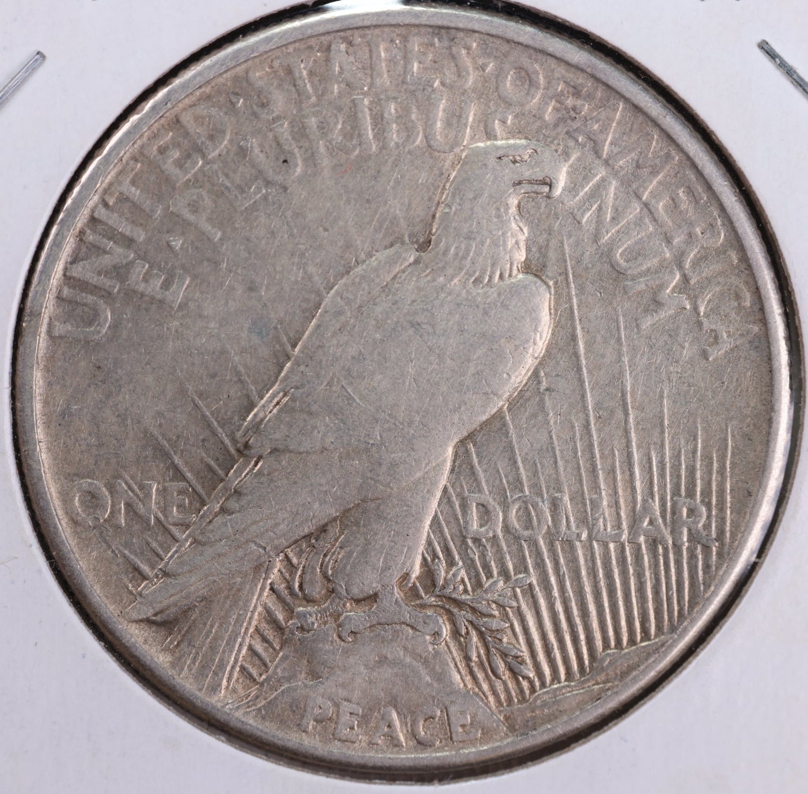 1921 Peace Silver Dollar, Fine Circulated Coin, Semi-key, Store #DR015.