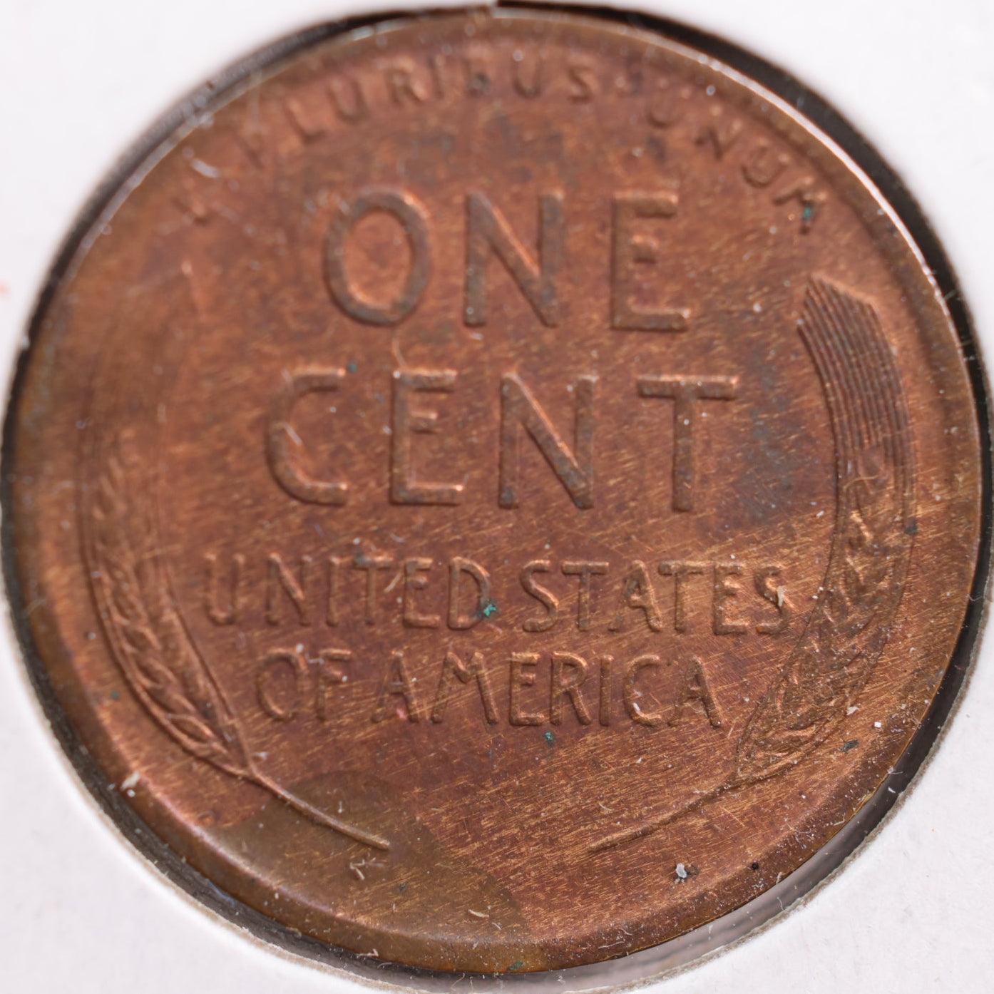 1920 Lincoln Cent, Mint State Uncirculated Coin, Store #CT0876