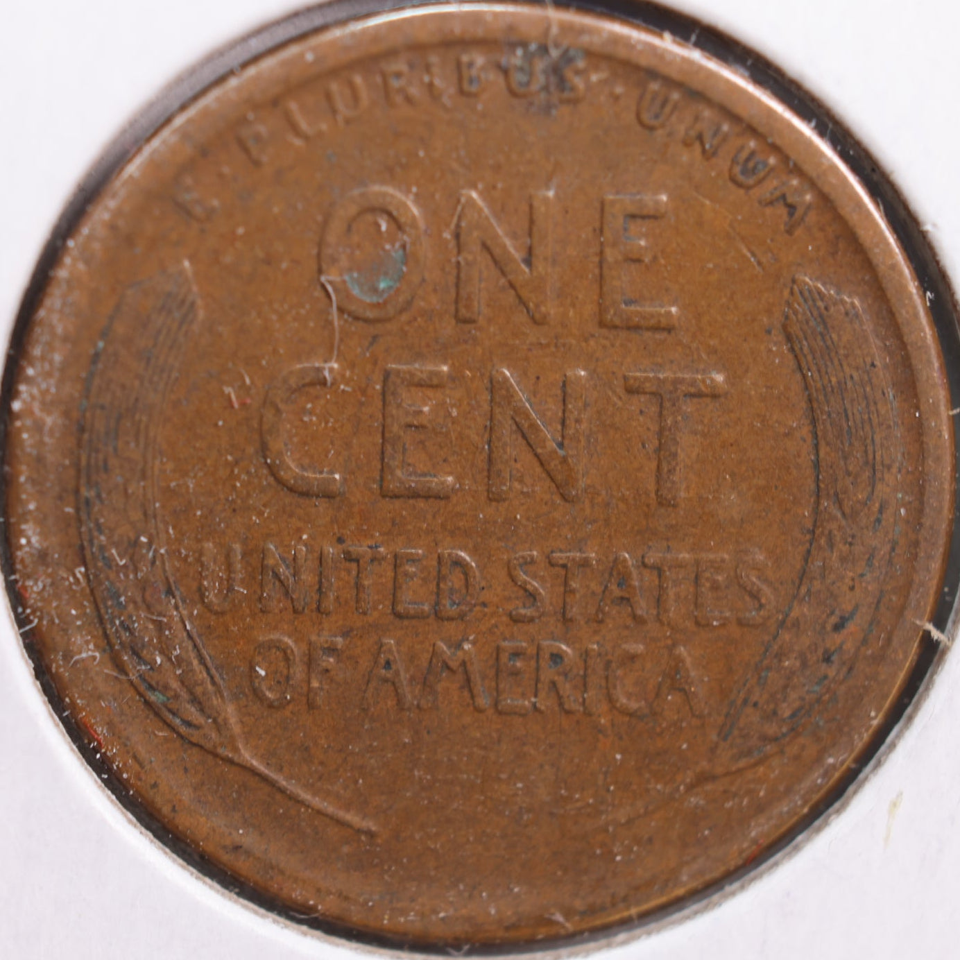 1919-S Lincoln Cent, Very Fine Circulated Coin, Store #CT0878