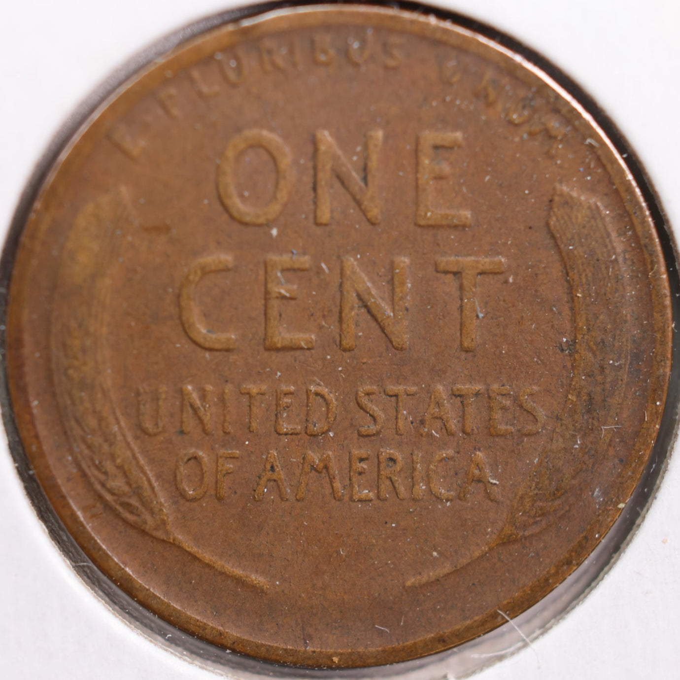 1919-D Lincoln Cent, Extra Fine Circulated Coin, Store #CT0893