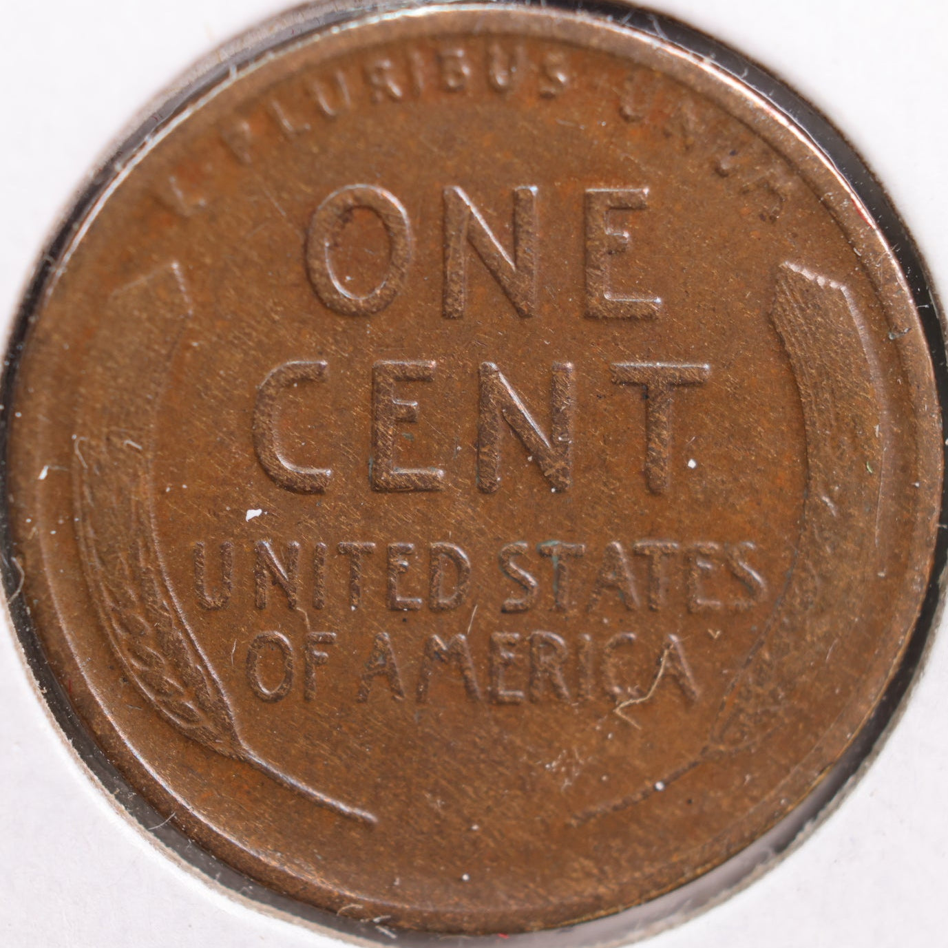 1919-D Lincoln Cent, Extra Fine Circulated Coin, Store #CT0894
