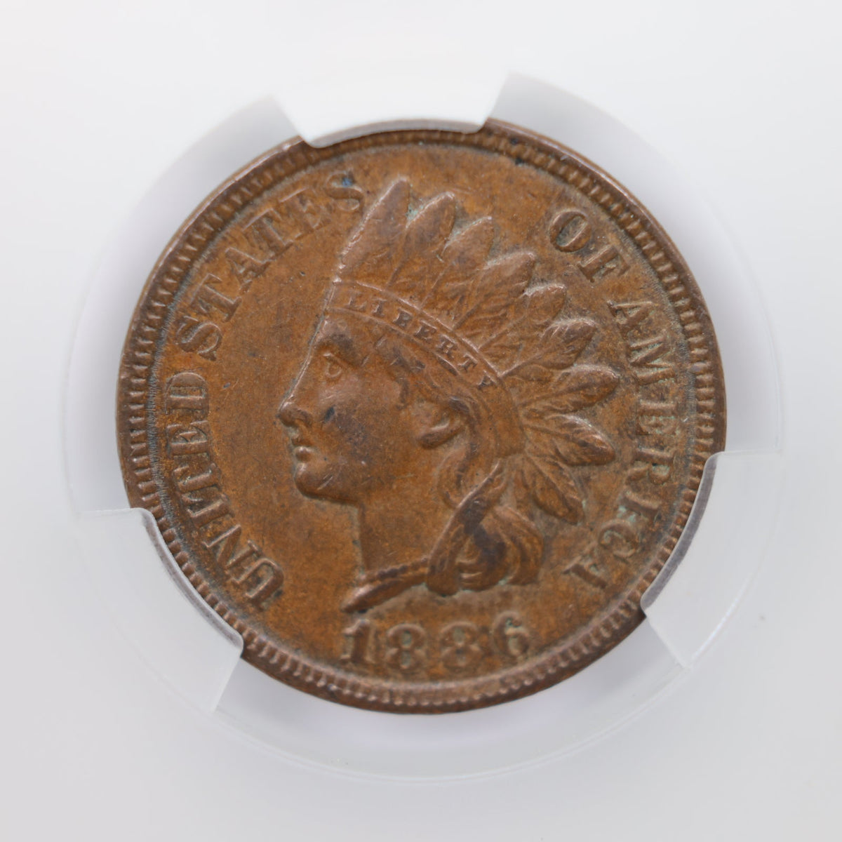 1886 Indian Head Small Cents, CAC XF-40, Type-2, Circulated Coin, Store #CT014.