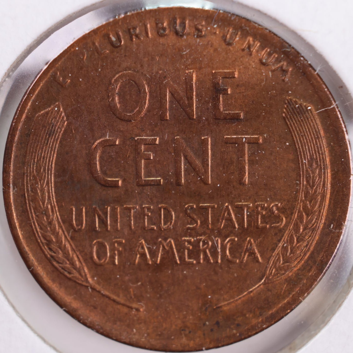1919 Lincoln Wheat Cent, Mint State RB Uncirculated Coin, Store #CT0289
