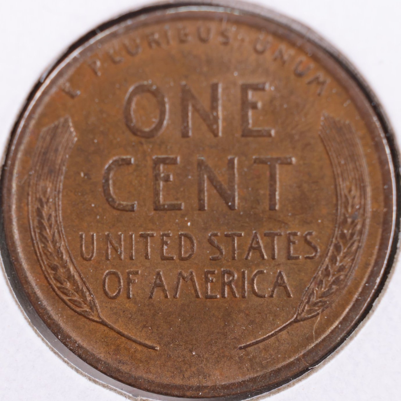 1919 Lincoln Wheat Cent, Mint State BN Uncirculated Coin, Store #CT0290