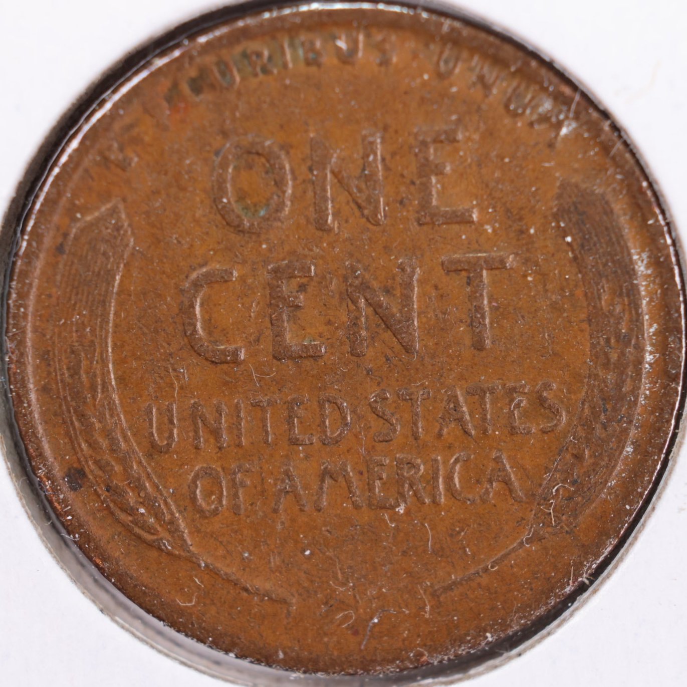 1919 Lincoln Wheat Cent, Extra Fine+ Circulated Coin, Store #CT0292