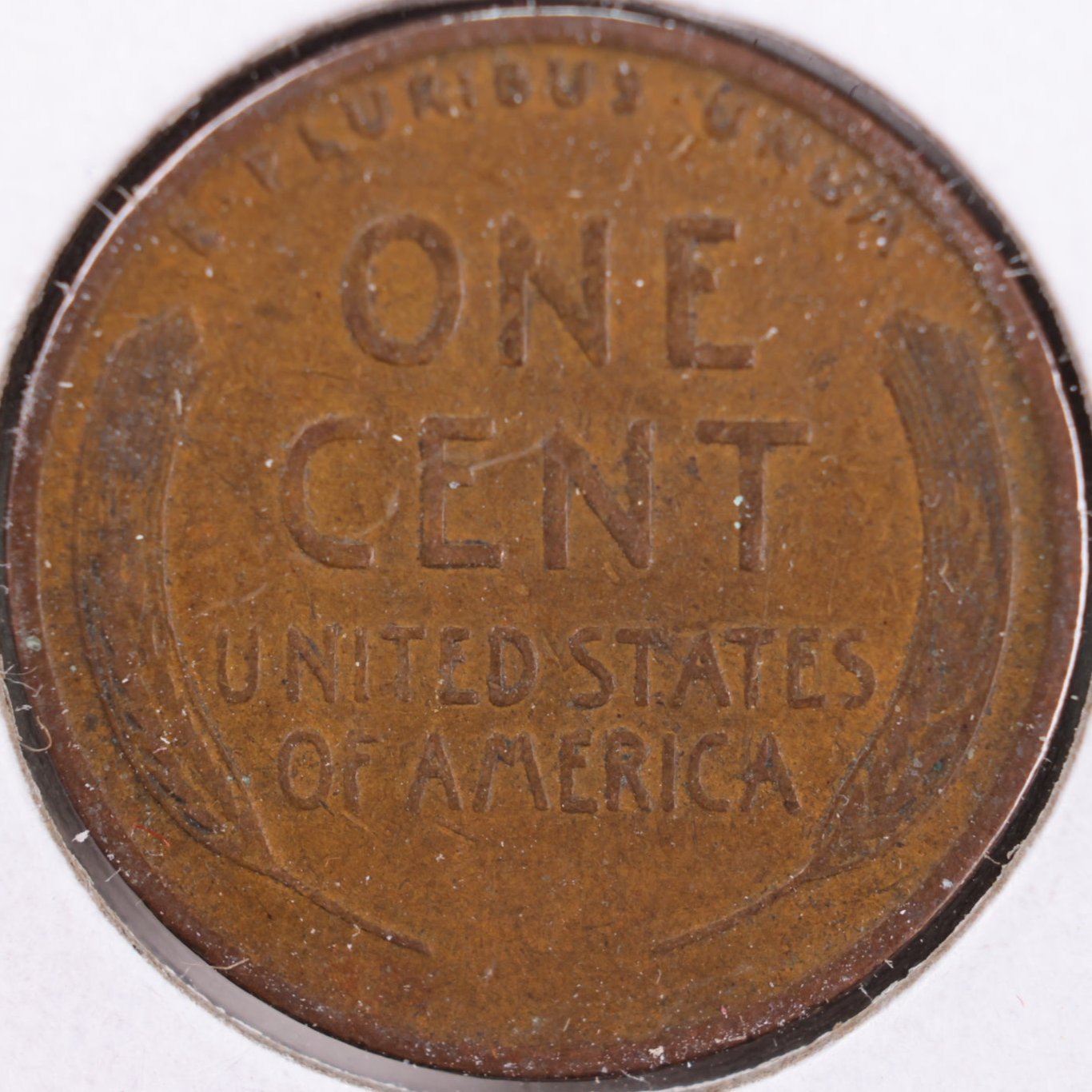1919 Lincoln Wheat Cent, Fine Circulated Coin, Store #CT0293