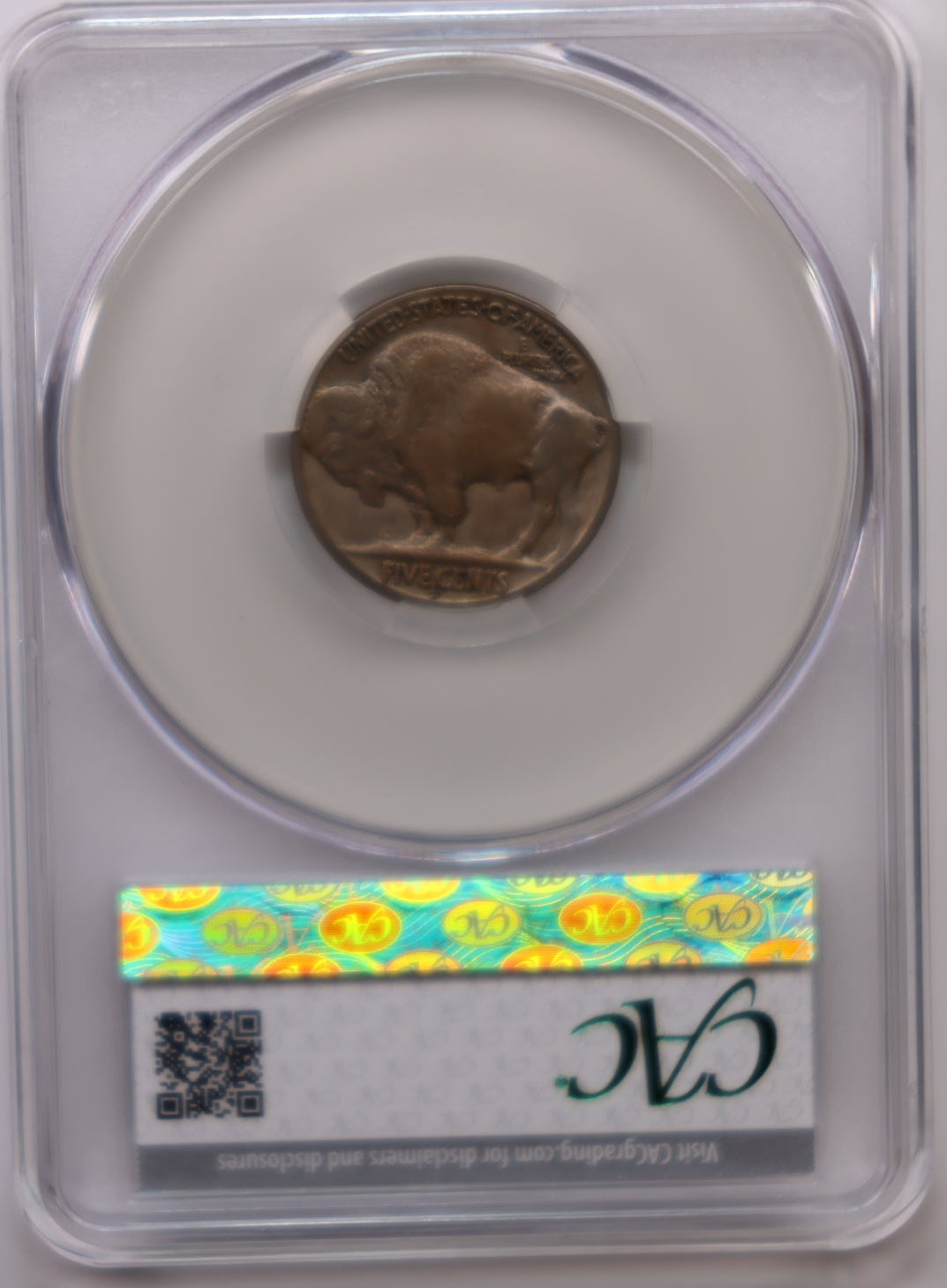 1919-S Buffalo Nickel, CAC Graded VF Detailed Coin, Store #NL023.
