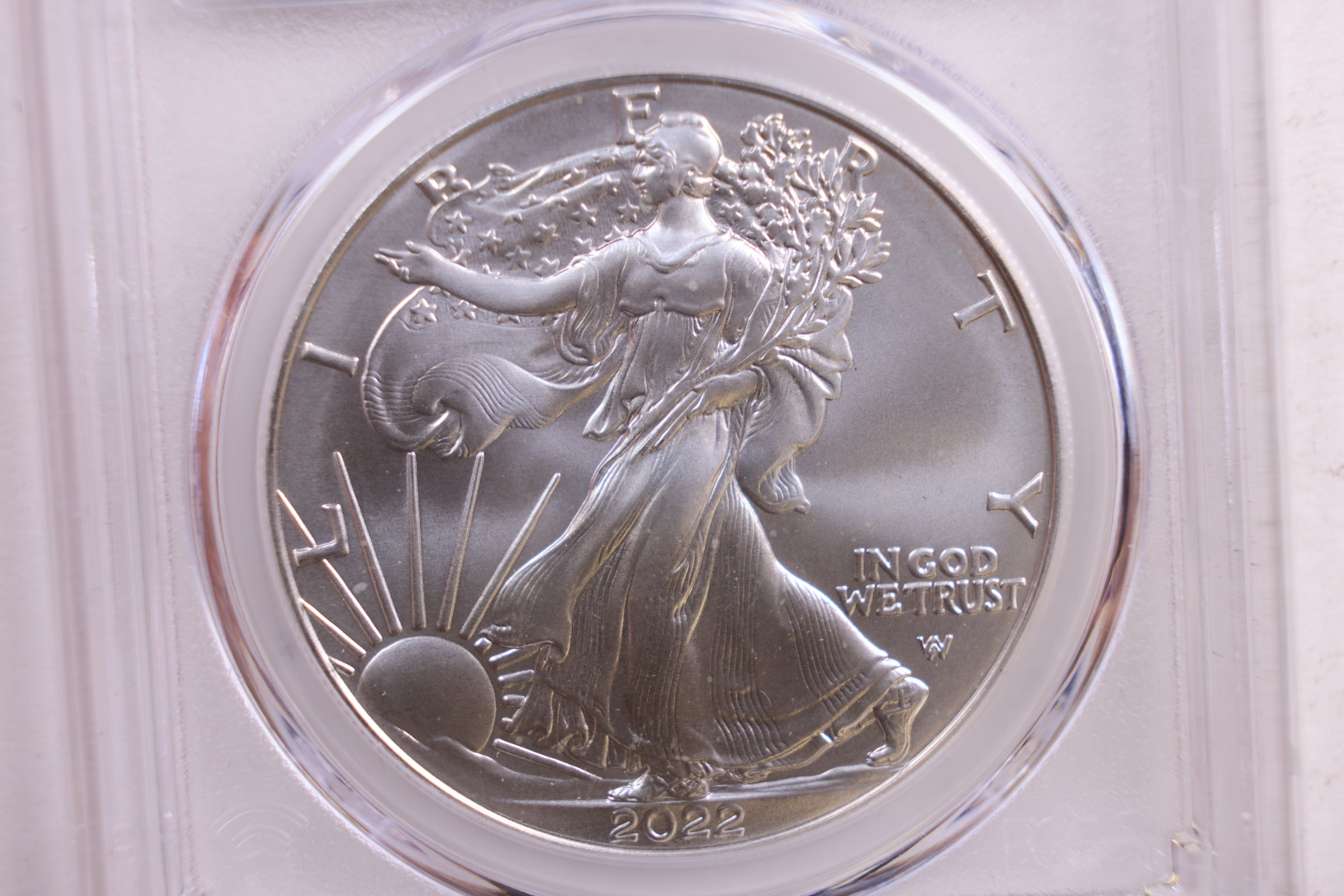 2022-W Burnished Silver Eagle, Premier Select, PCGS SP-70, Store #AE0160