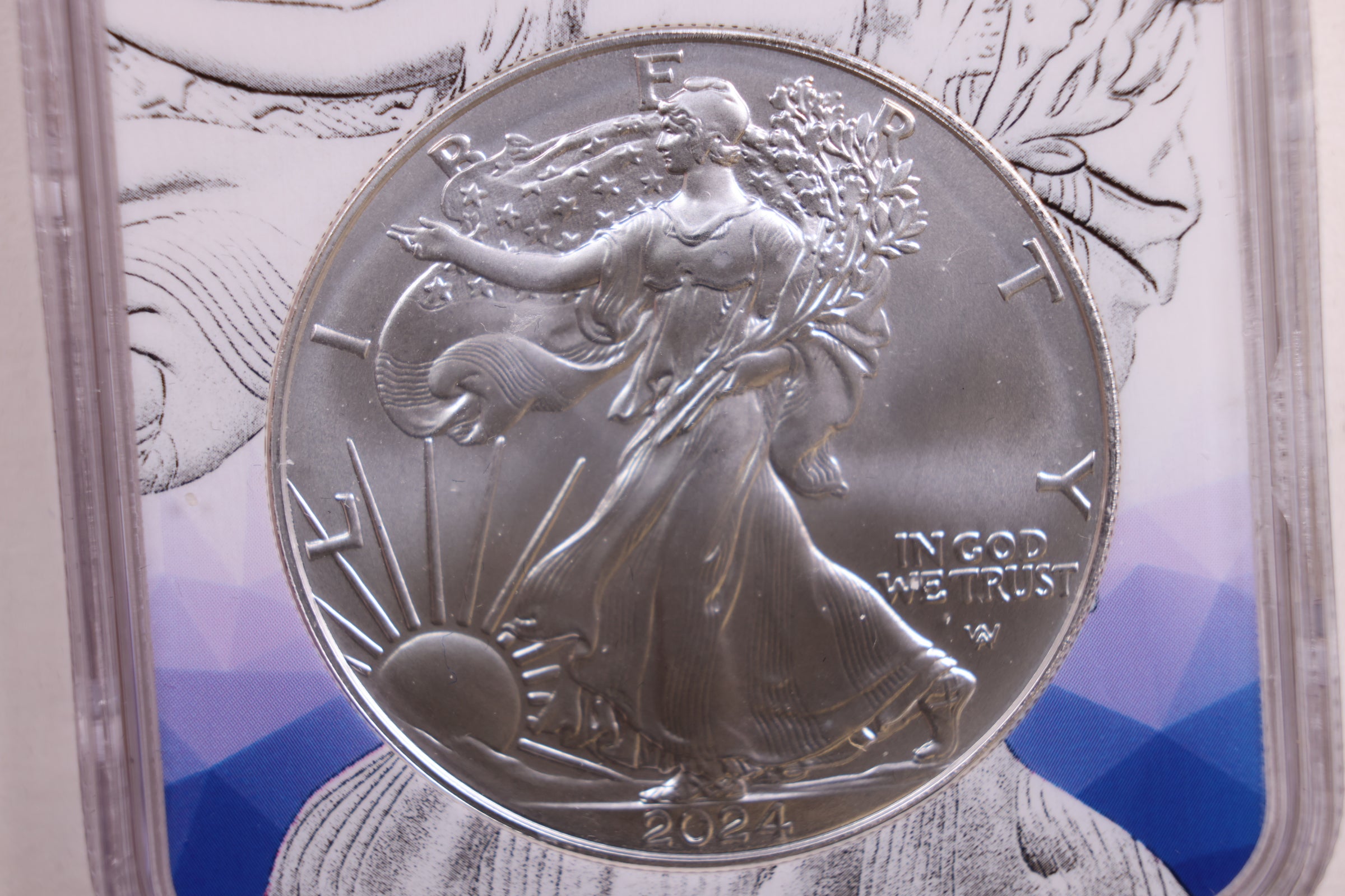 2024 American Silver Eagle, New Generation NGC MS-10, Store #AE0175