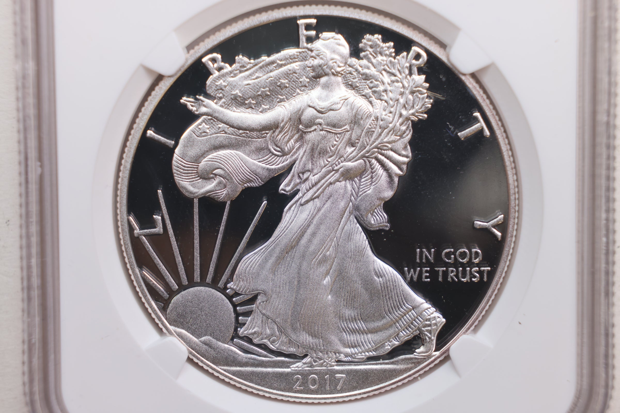 2017-W Proof American Silver Eagle, NGC CERTIFIED PF-70, Store #AE0183