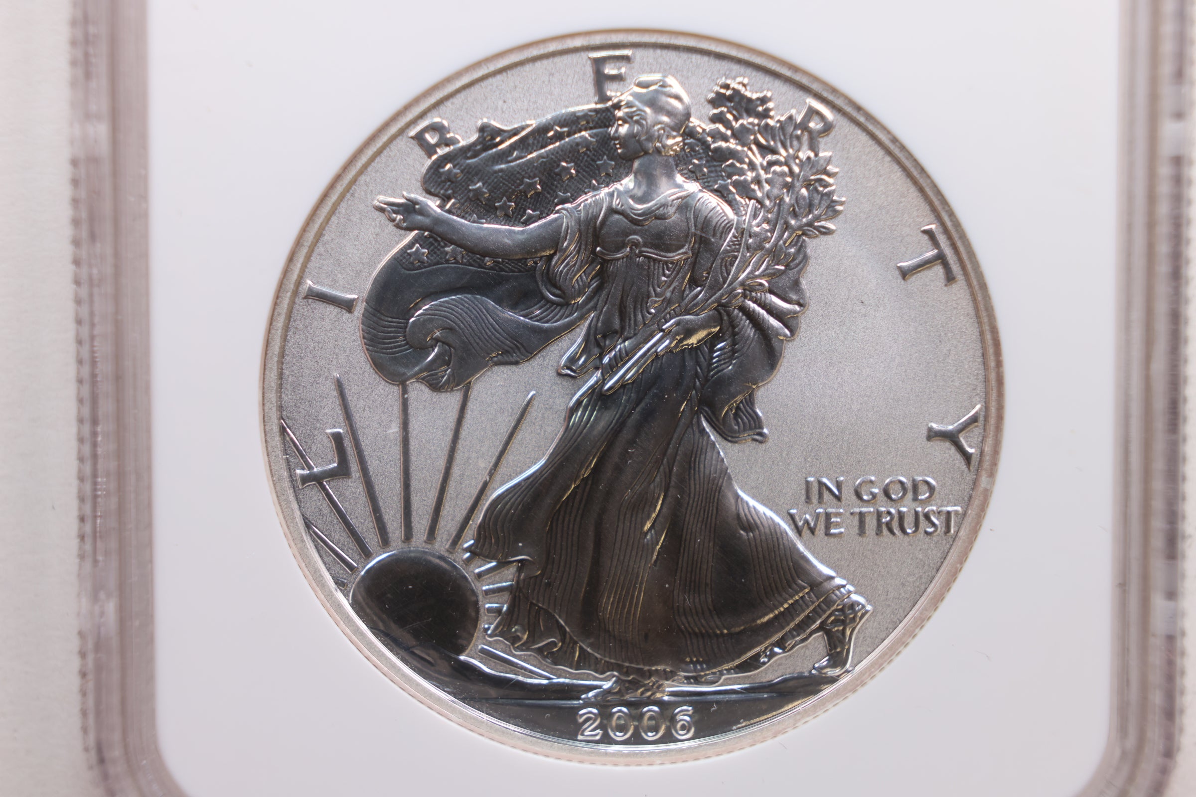 2006 Proof American Silver Eagle, NGC CERTIFIED Reverse PF-70, Store #AE0185