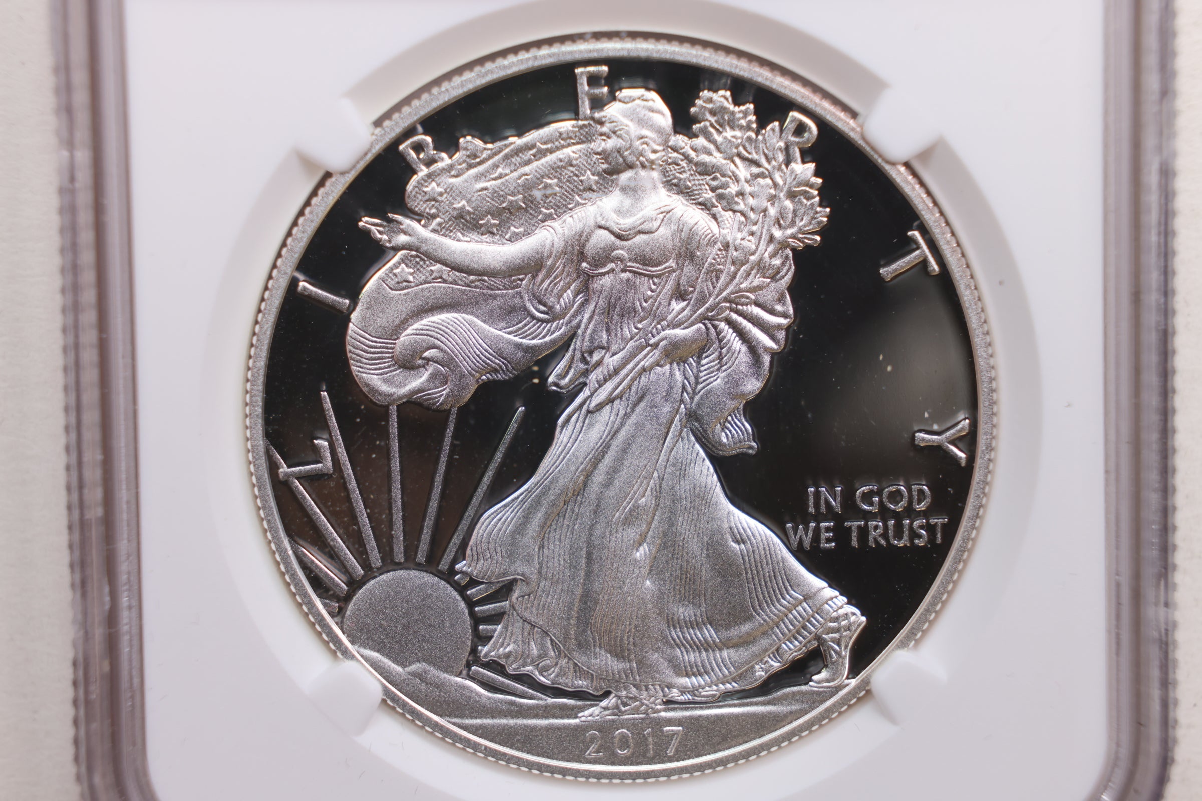 2017-W Proof American Silver Eagle, NGC Certified PF-70, Store #AE0186