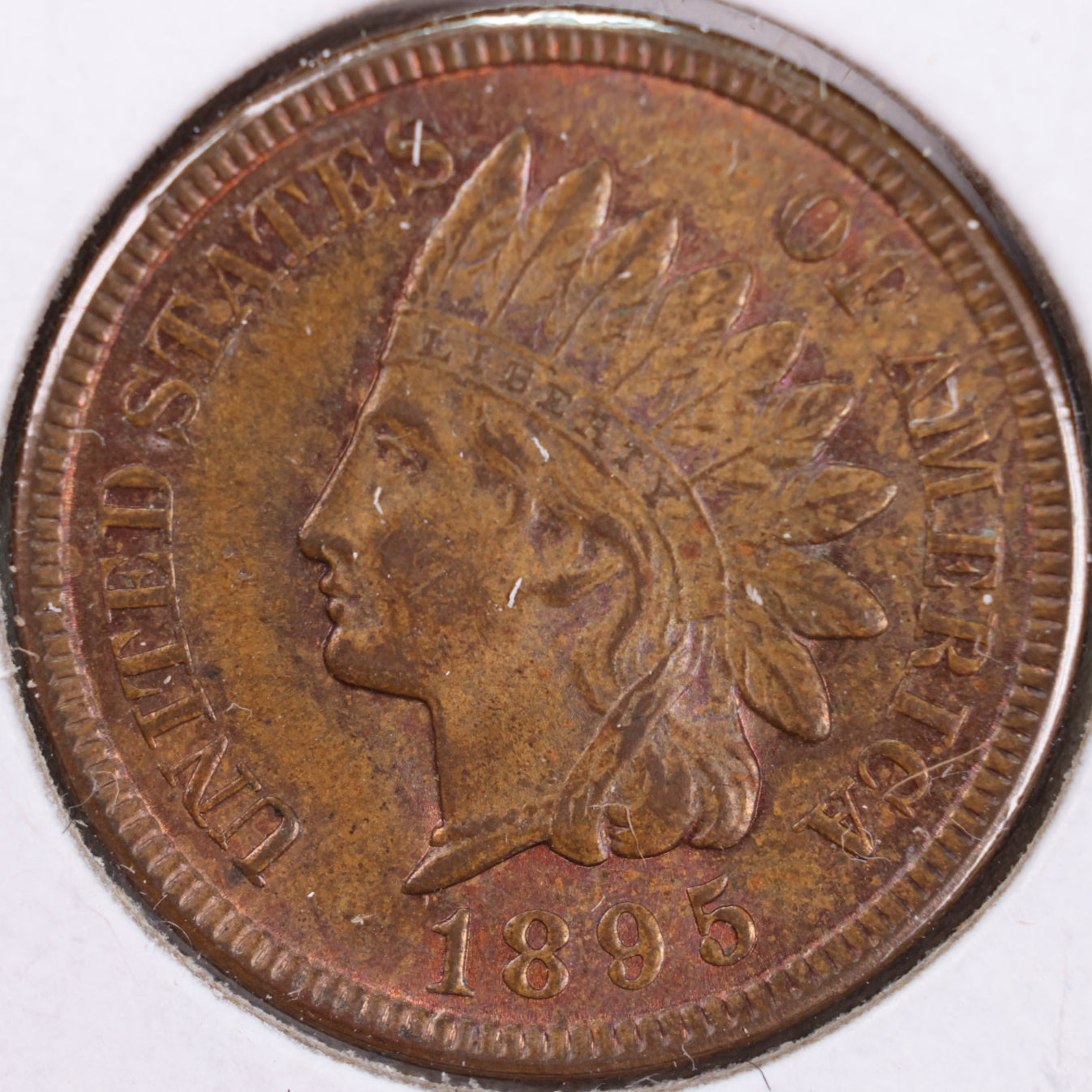 1895 Indian Head Cent, Mint State Uncirculated Coin, Store #CT0327