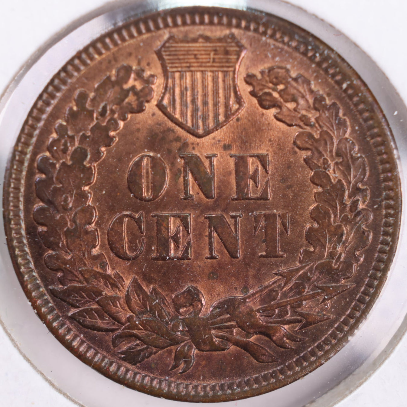 1897 Indian Head Cent, RB Mint State Uncirculated Coin, Store #CT0331