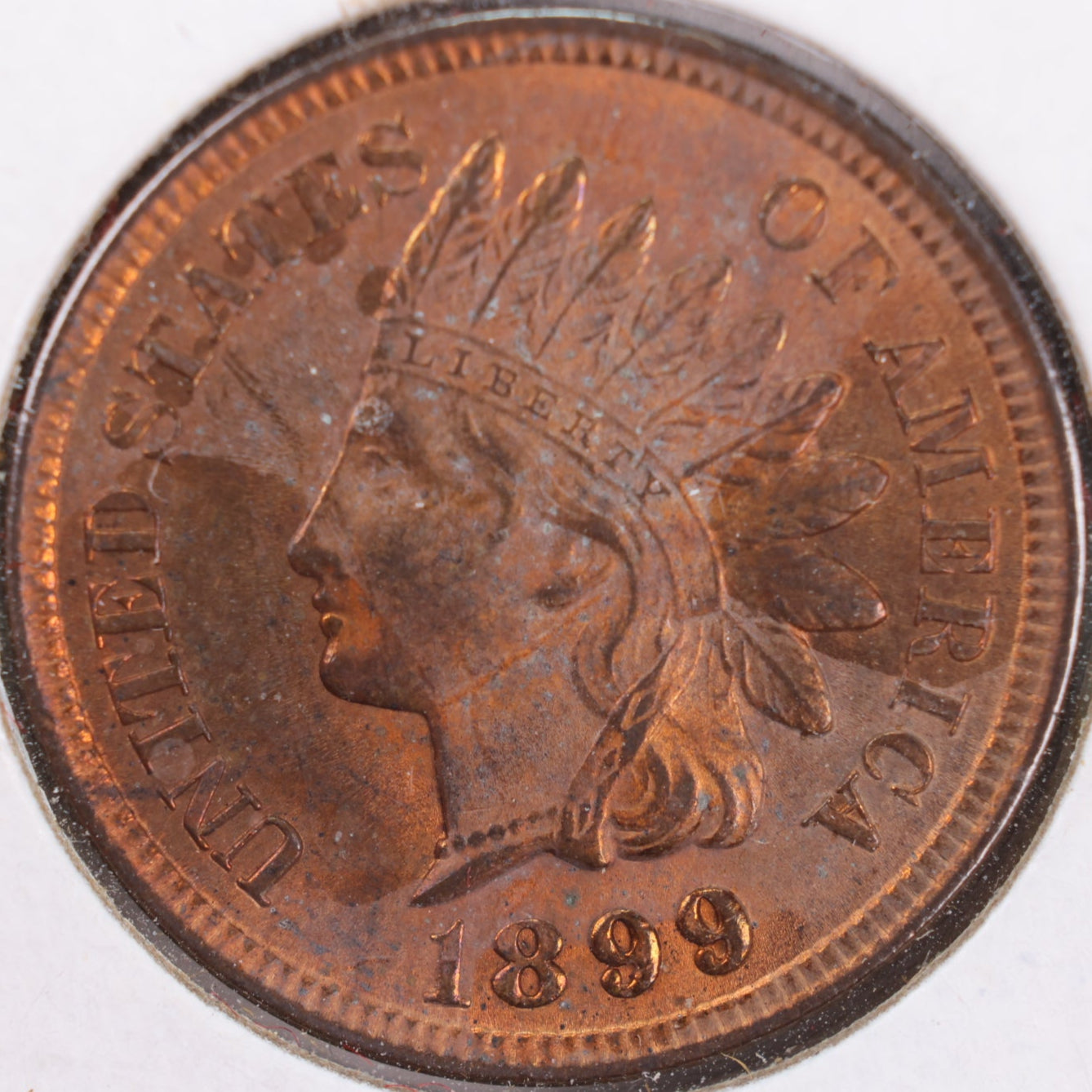1899 Indian Head Cent, Mint State+ Uncirculated Coin, Store #CT0339