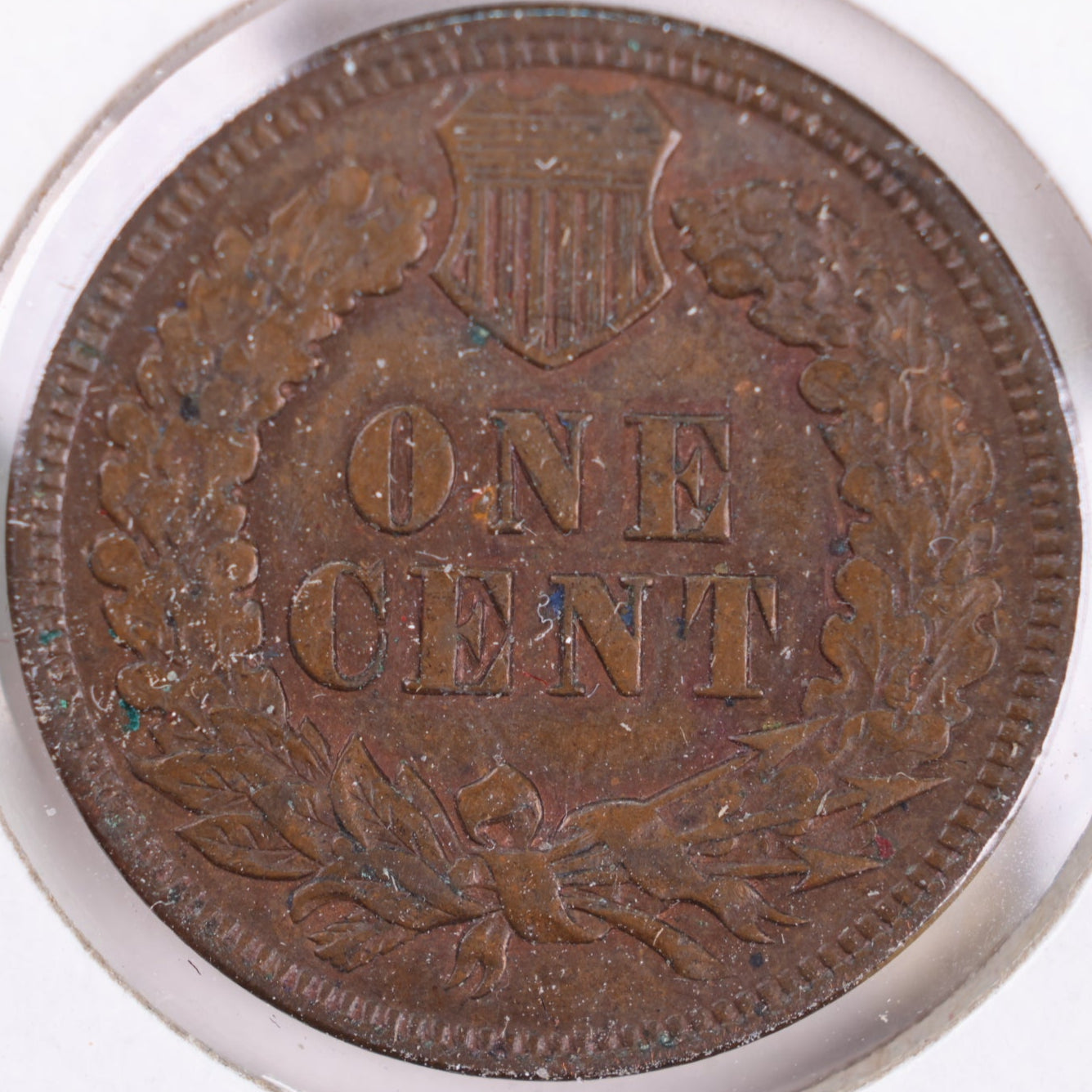 1901 Indian Head Cent, Extra Fine+ Circulated Coin, Store #CT0344