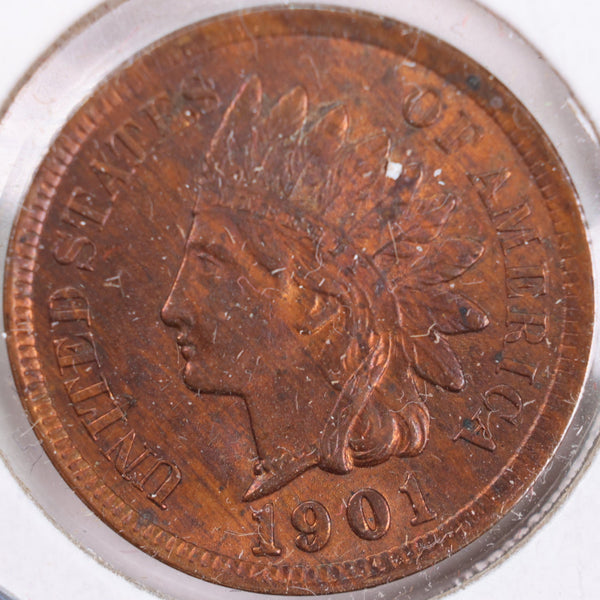 1901 Indian Head Cent, RB Mint State Uncirculated Coin, Store #CT0345