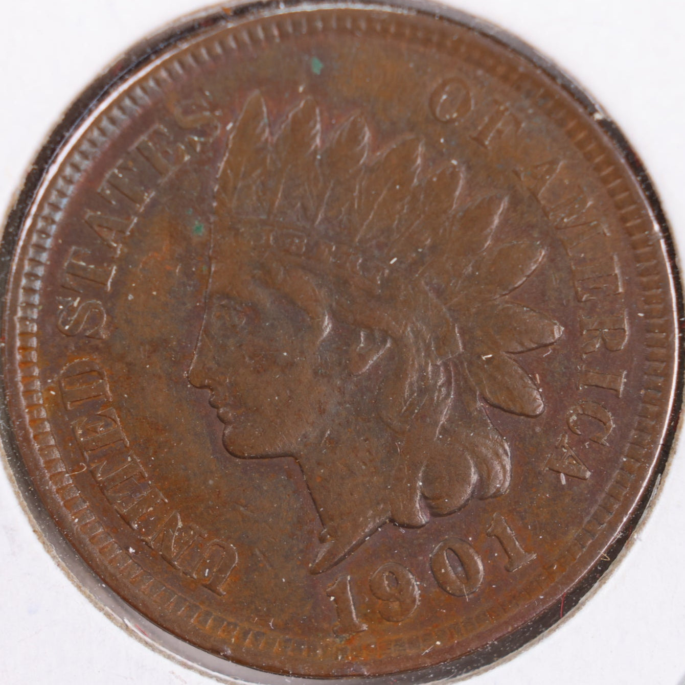 1901 Indian Head Cent, Extra Fine Circulated Coin, Store #CT0349