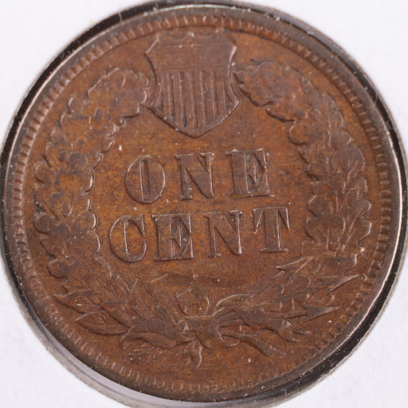 1901 Indian Head Cent, Fine+ Circulated Coin, Store #CT0351