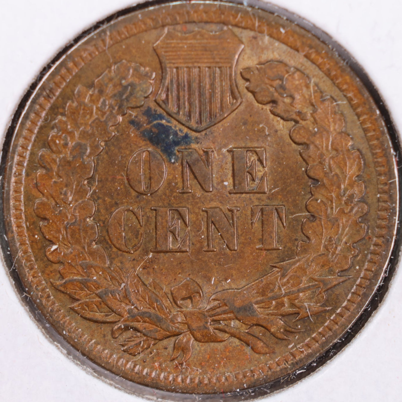 1902 Indian Head Cent, BN Gem Mint State Uncirculated Coin, Store #CT0352