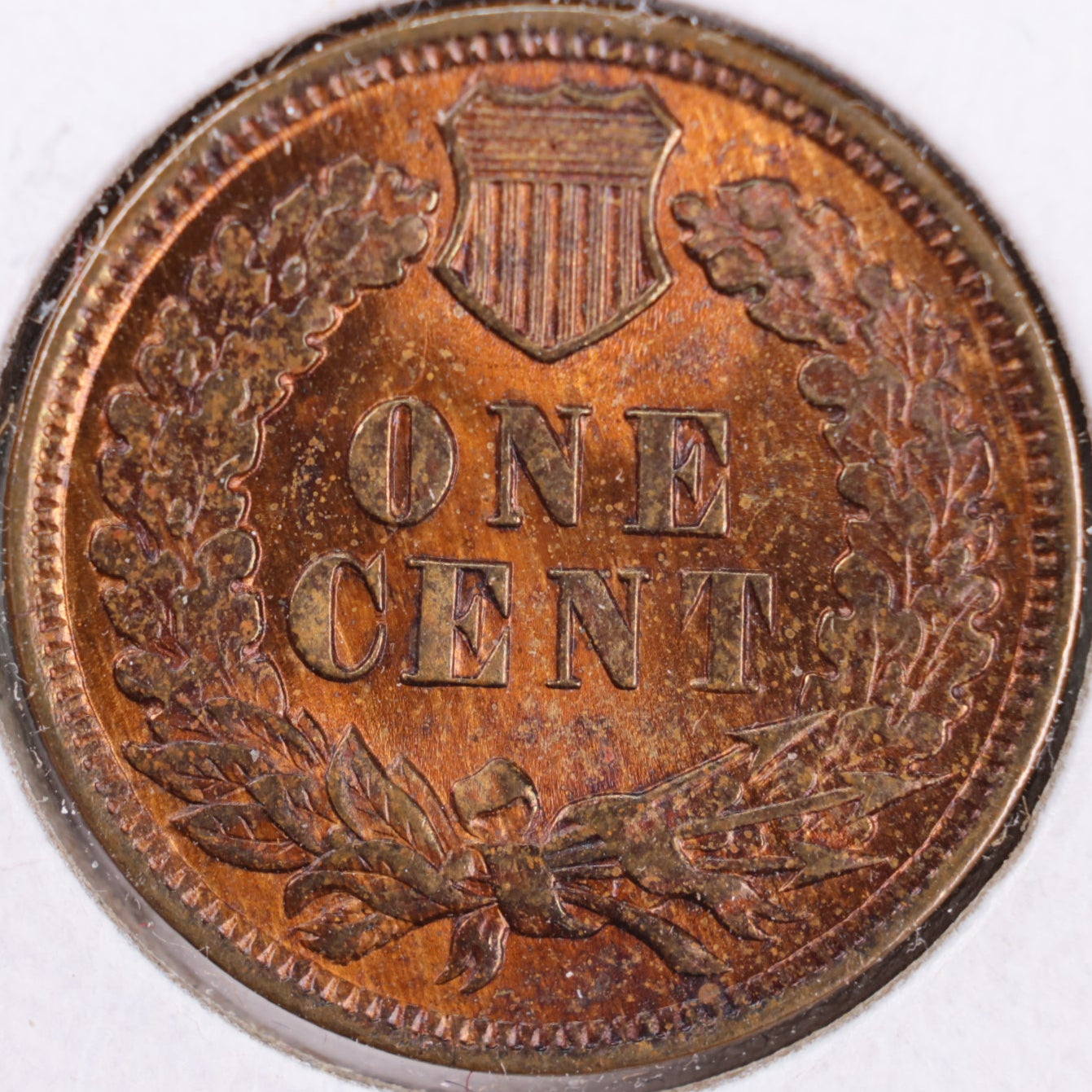 1902 Indian Head Cent, Gem Mint State Uncirculated Coin, Store #CT0355