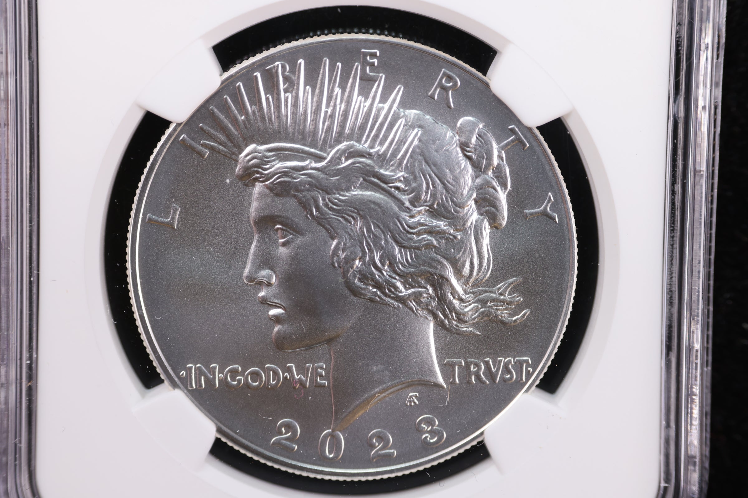 2023 Peace Dollar Commemorative, NGC MS 69, Store #GMC234