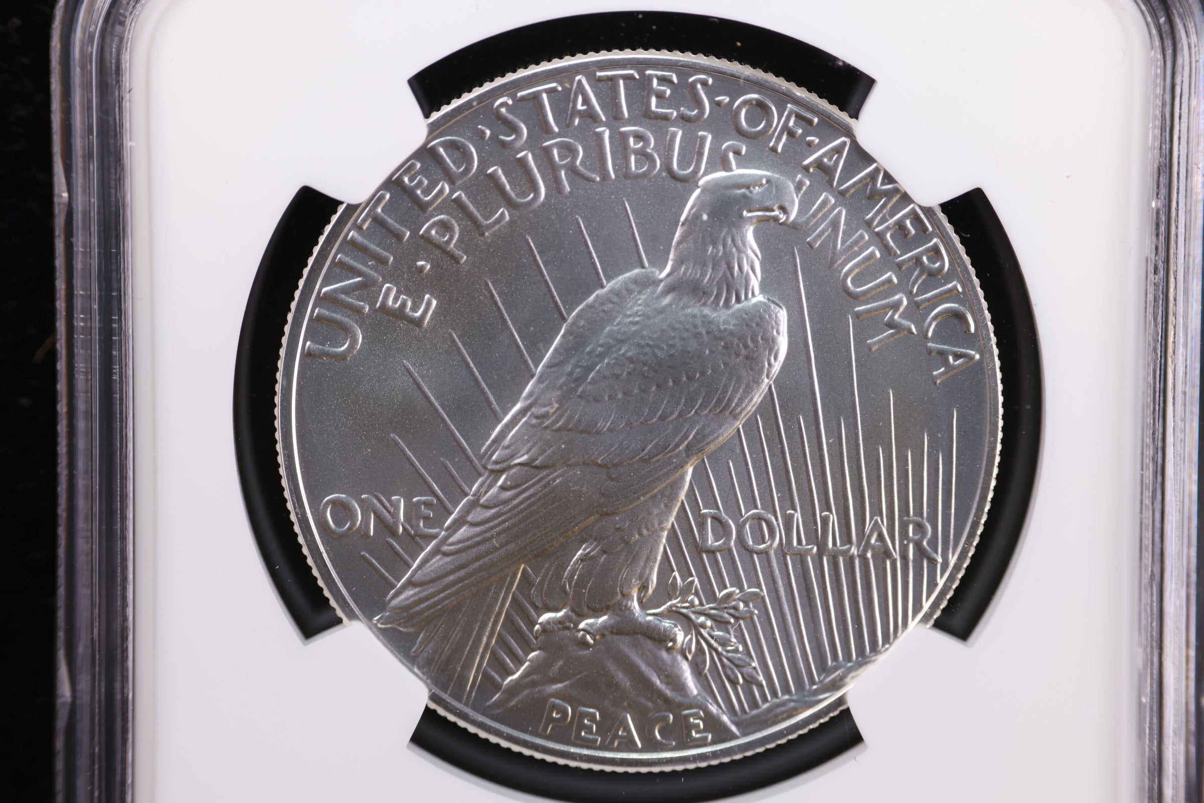2023 Peace Dollar Commemorative, NGC MS 69, Store #GMC234