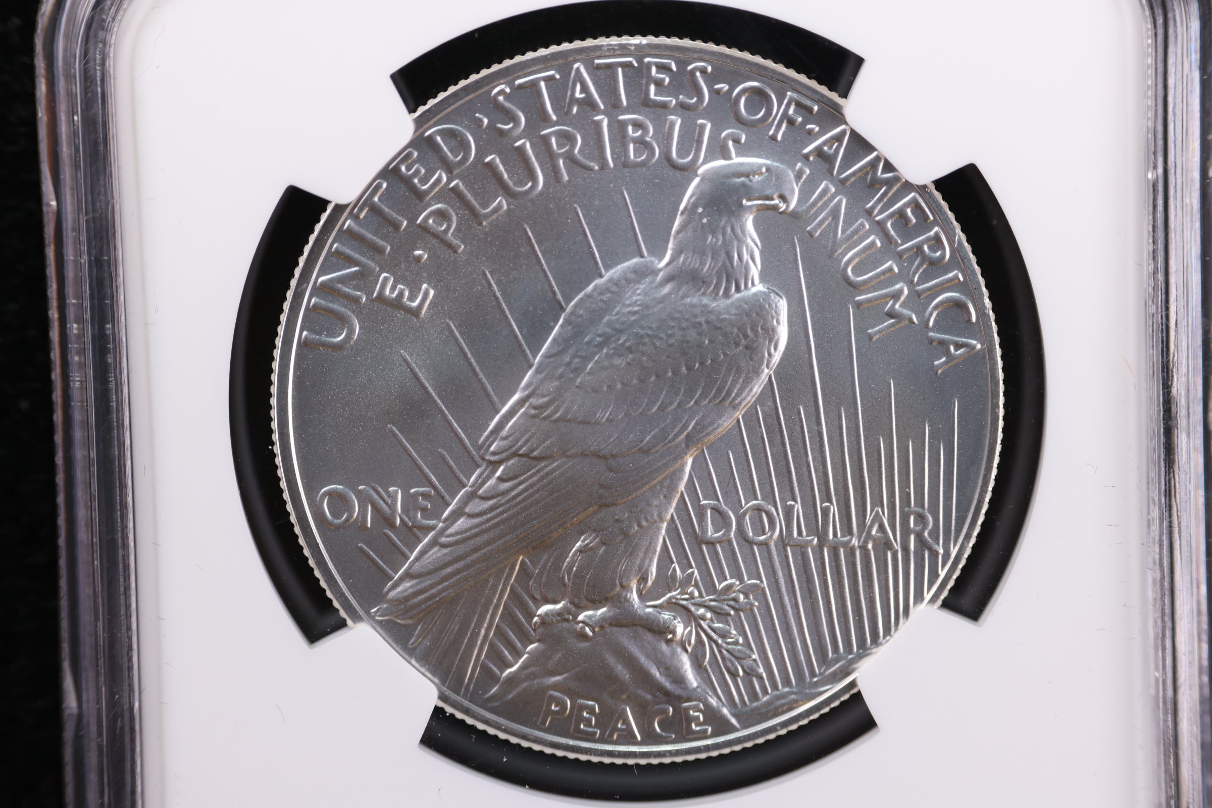 2023 Peace Dollar Commemorative, NGC MS 69, Store #GMC234