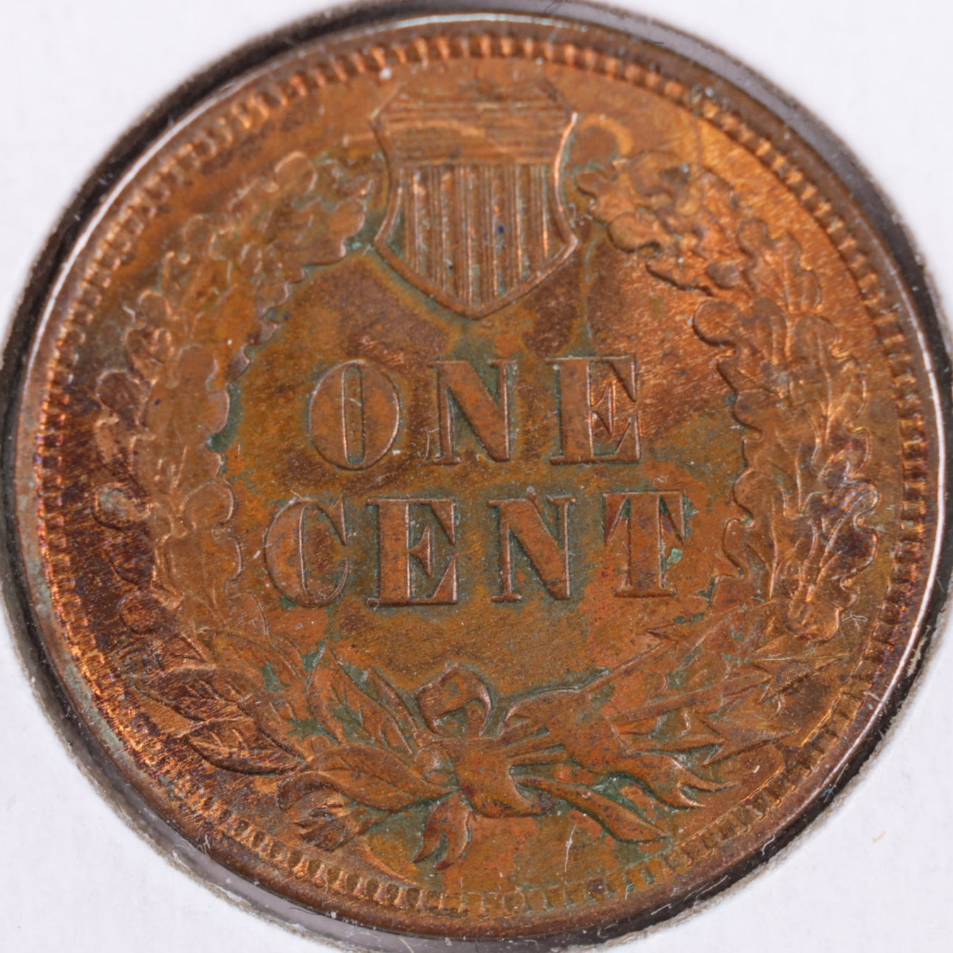 1905 Indian Head Cent, RB Mint State Uncirculated Coin, Store #CT0370