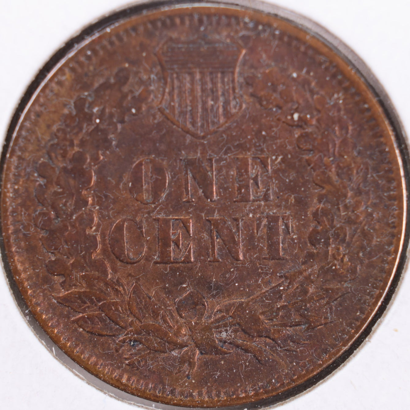 1905 Indian Head Cent, Mint State Uncirculated Coin, Store #CT0372