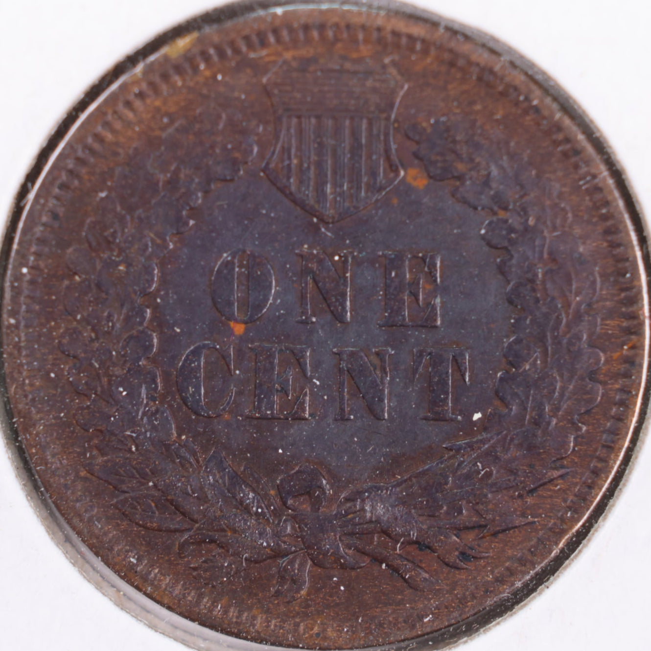 1905 Indian Head Cent, Very Fine Circulated Coin, Store #CT0373