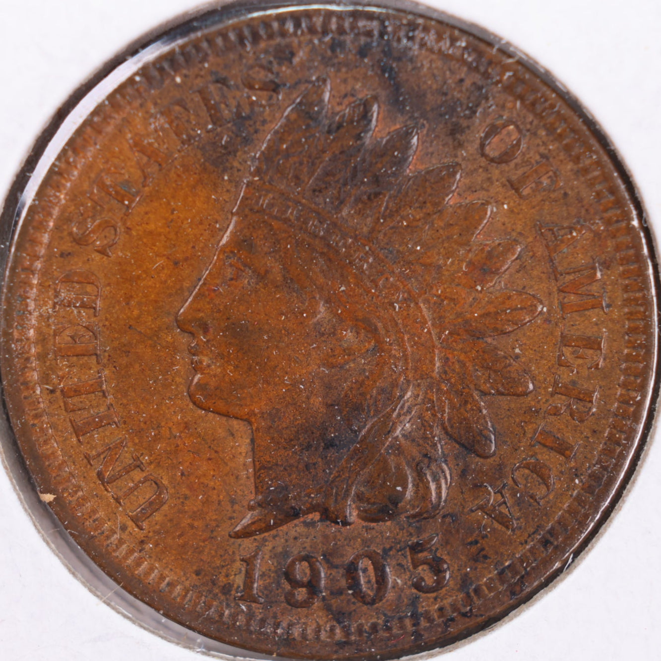 1905 Indian Head Cent, Extra Fine Circulated Coin, Store #CT0374