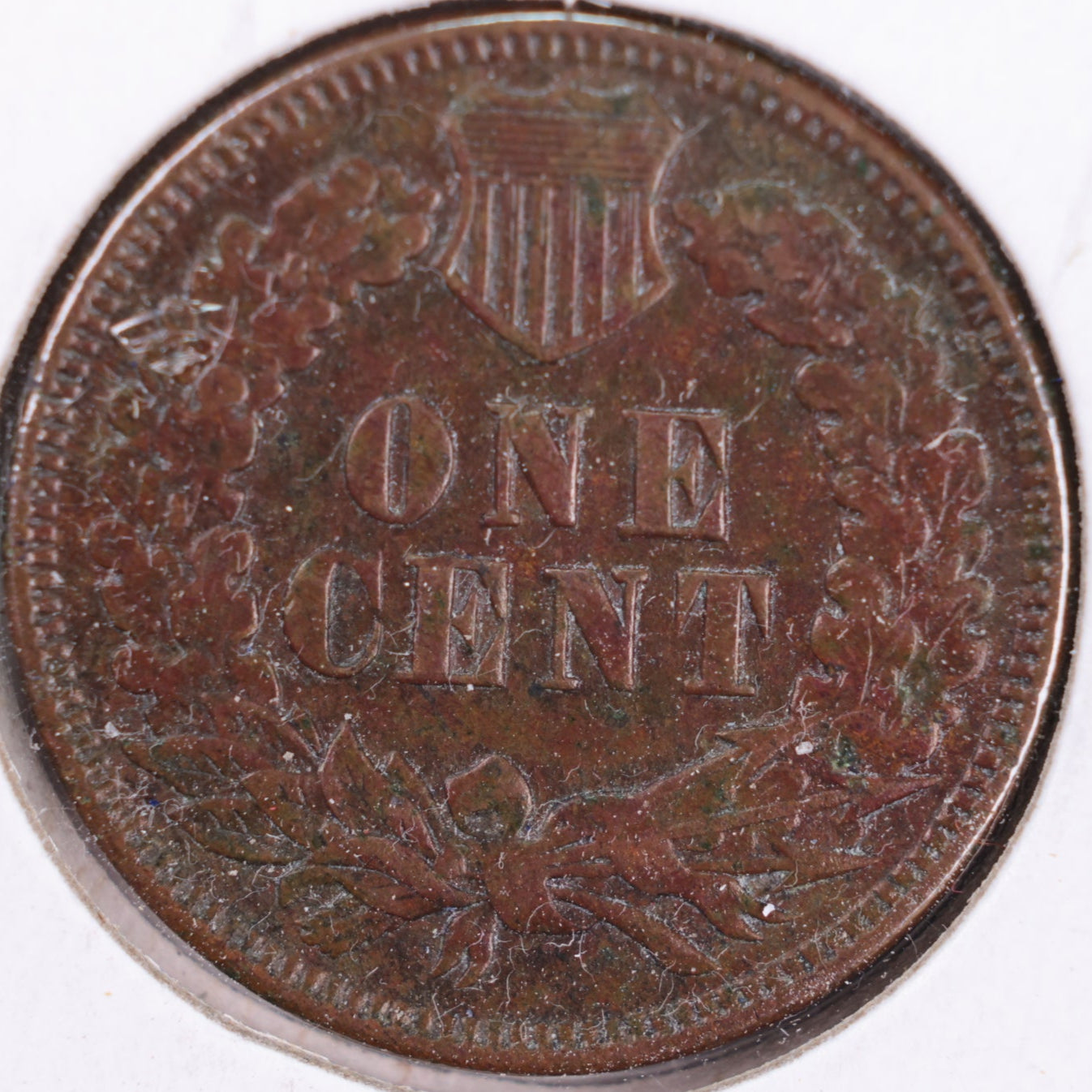 1905 Indian Head Cent, Extra Fine Circulated Coin, Store #CT0377