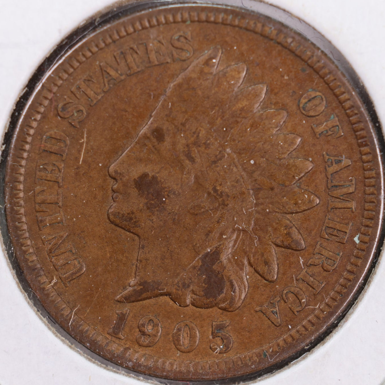 1905 Indian Head Cent, Extra Fine Circulated Coin, Store #CT0379
