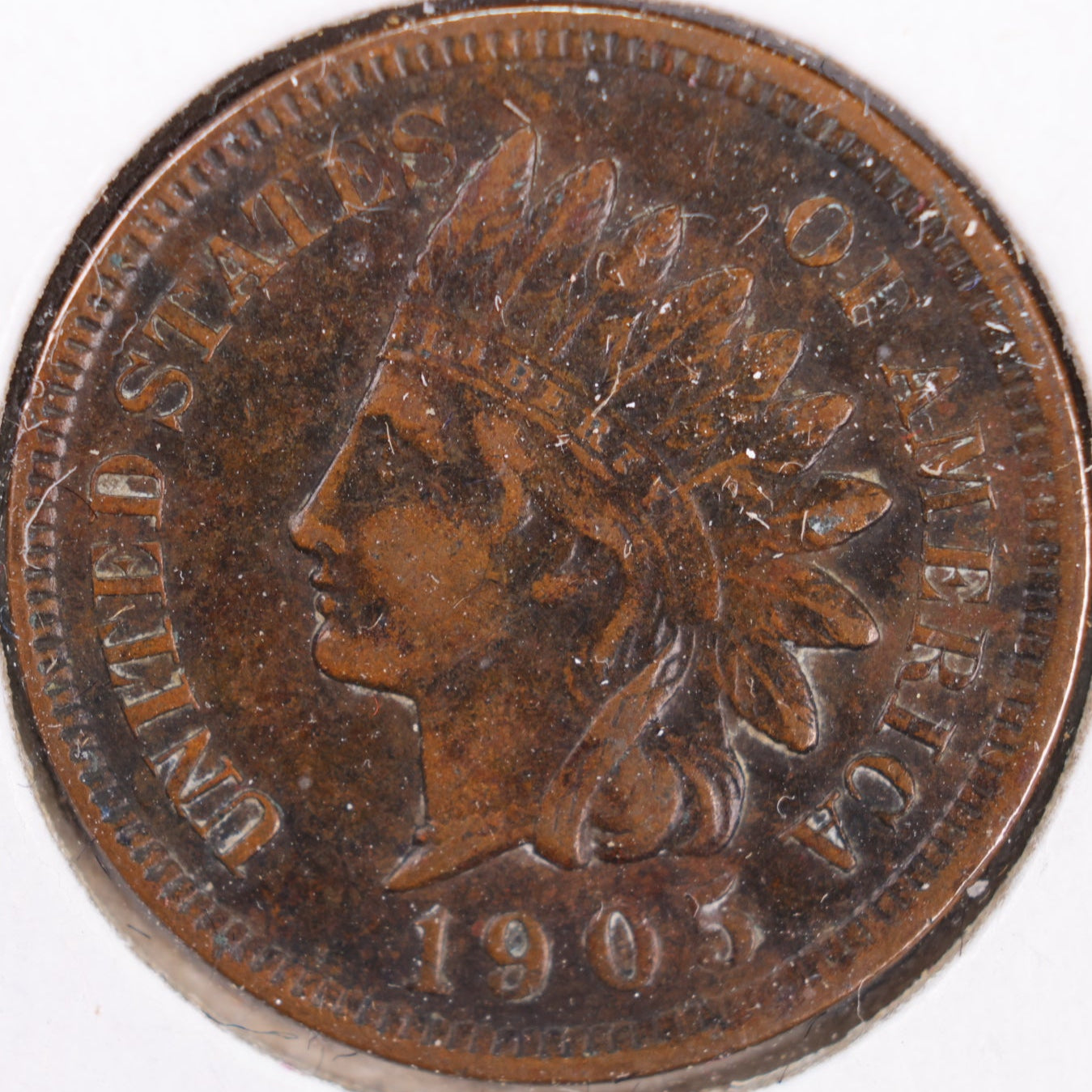 1905 Indian Head Cent, Extra Fine+ Circulated Coin, Store #CT0382