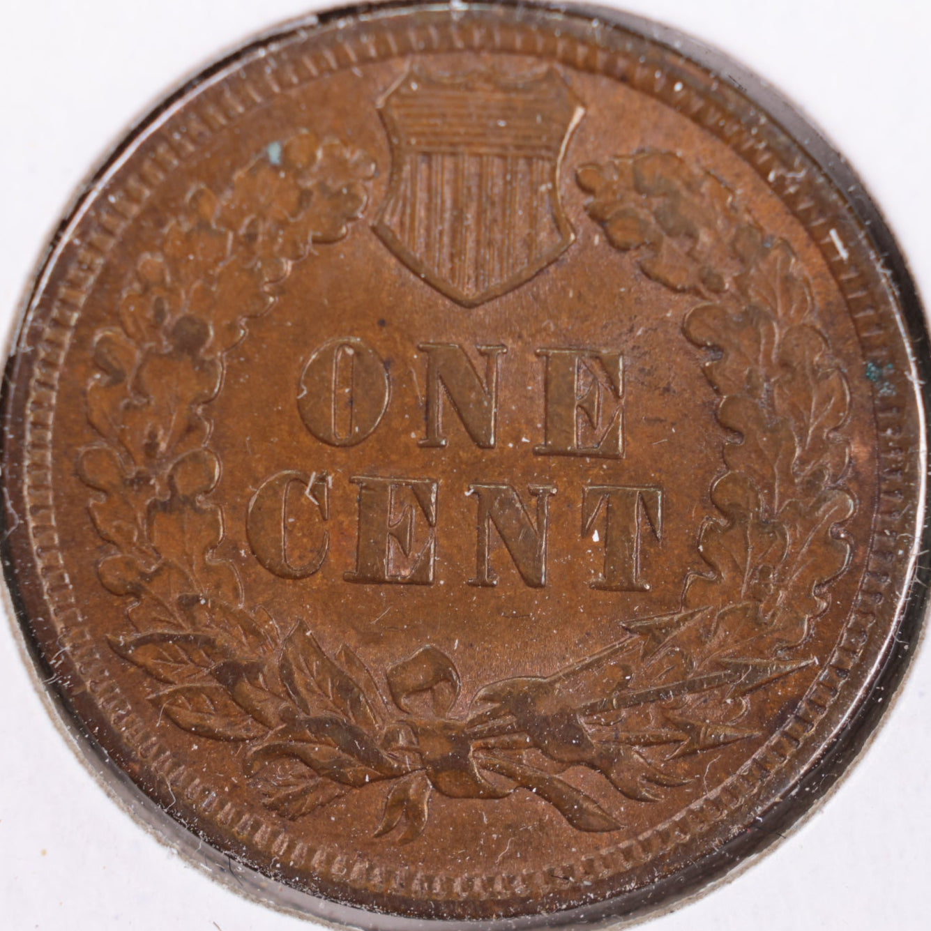 1902 Indian Head Cent, Extra Fine+ Circulated Coin, Store #CT0394